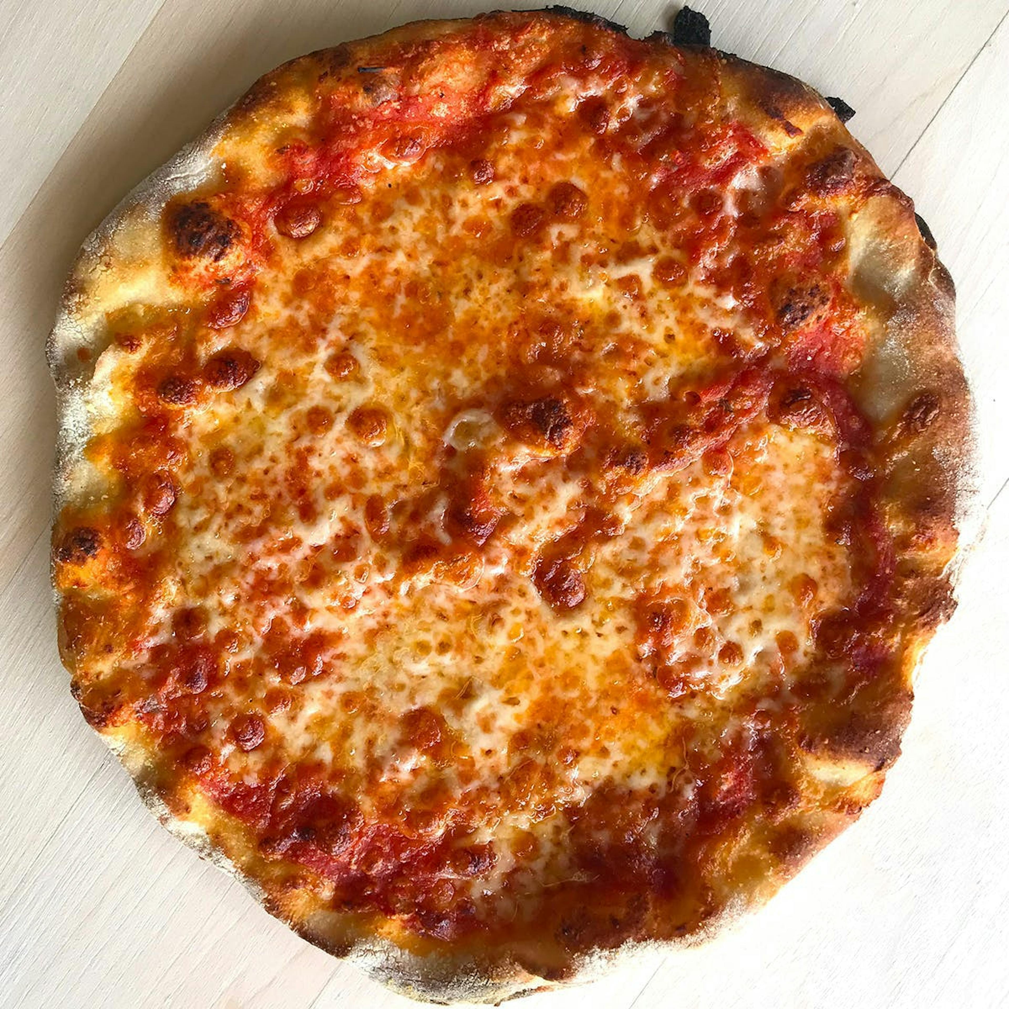 New Haven-Style Mozzarella Pizza - 6 Pack by Zuppardi's Apizza