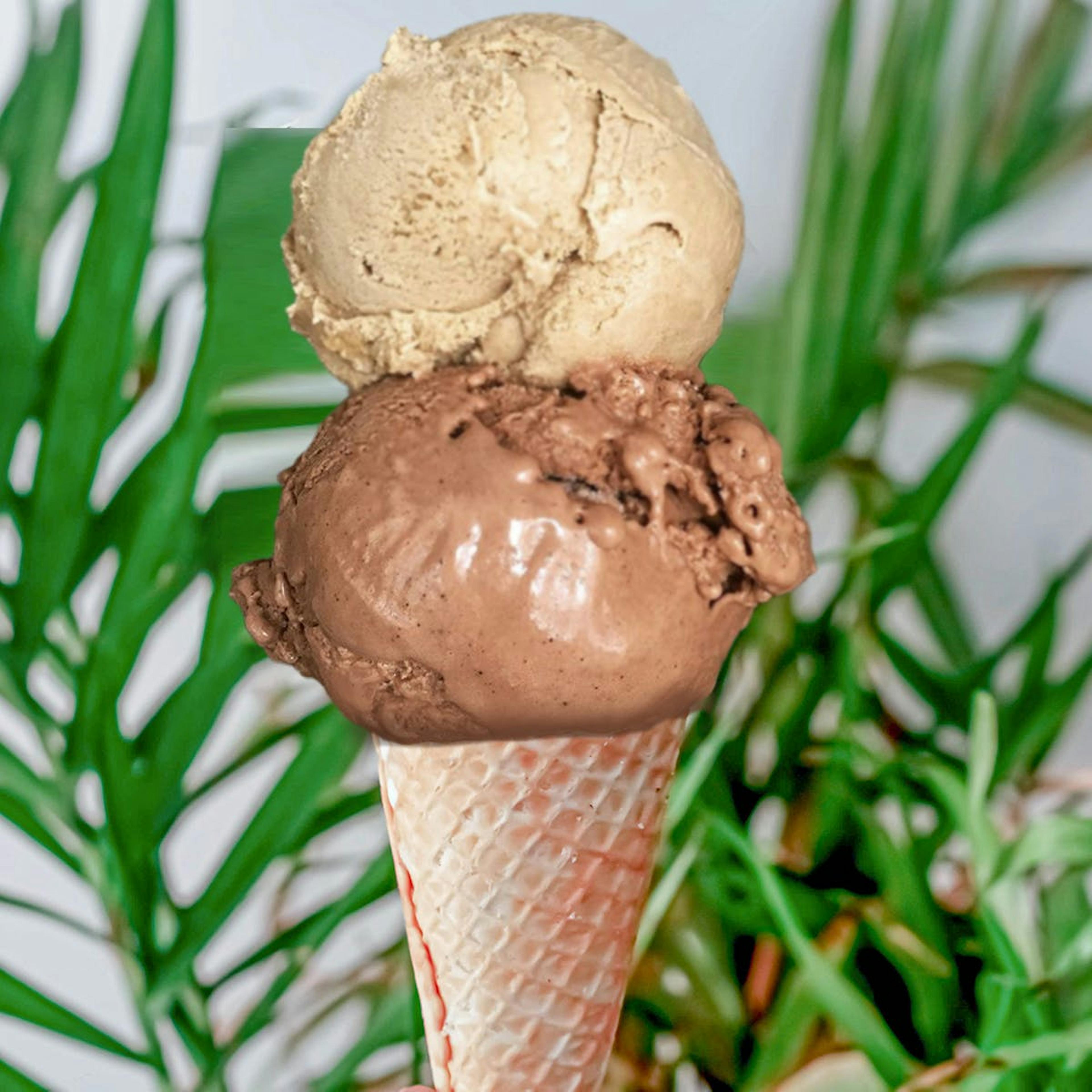 Ice Cream & Sorbet - Choose Your Own 4 Pints by Island Pops