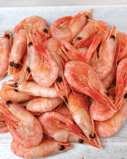 Prawn Shrimp Ready Eat Seafood Crustacean Table Meal Snack Outdoor