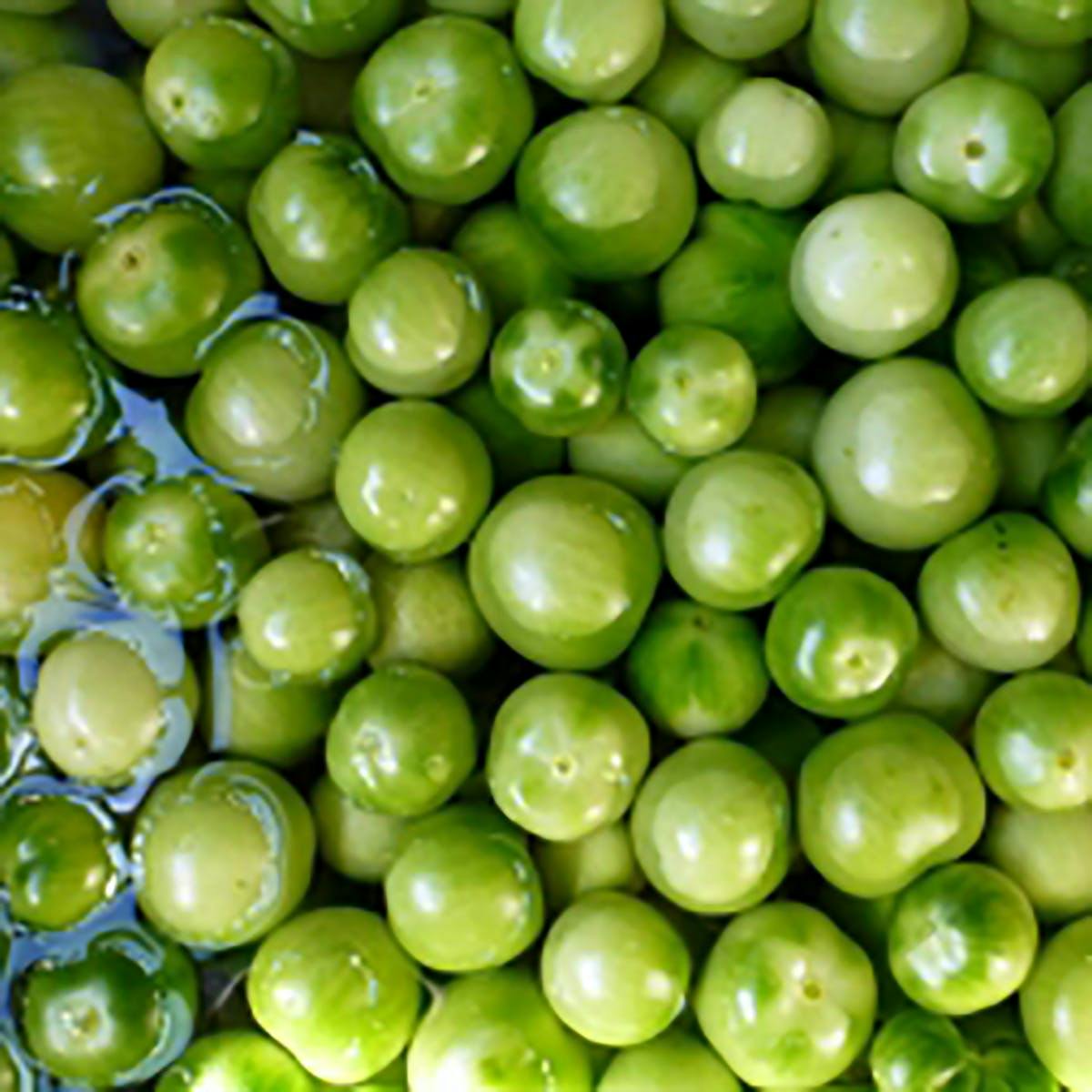 Fresh Pickled Tomatoes - 1 gallon by Guss' Pickles