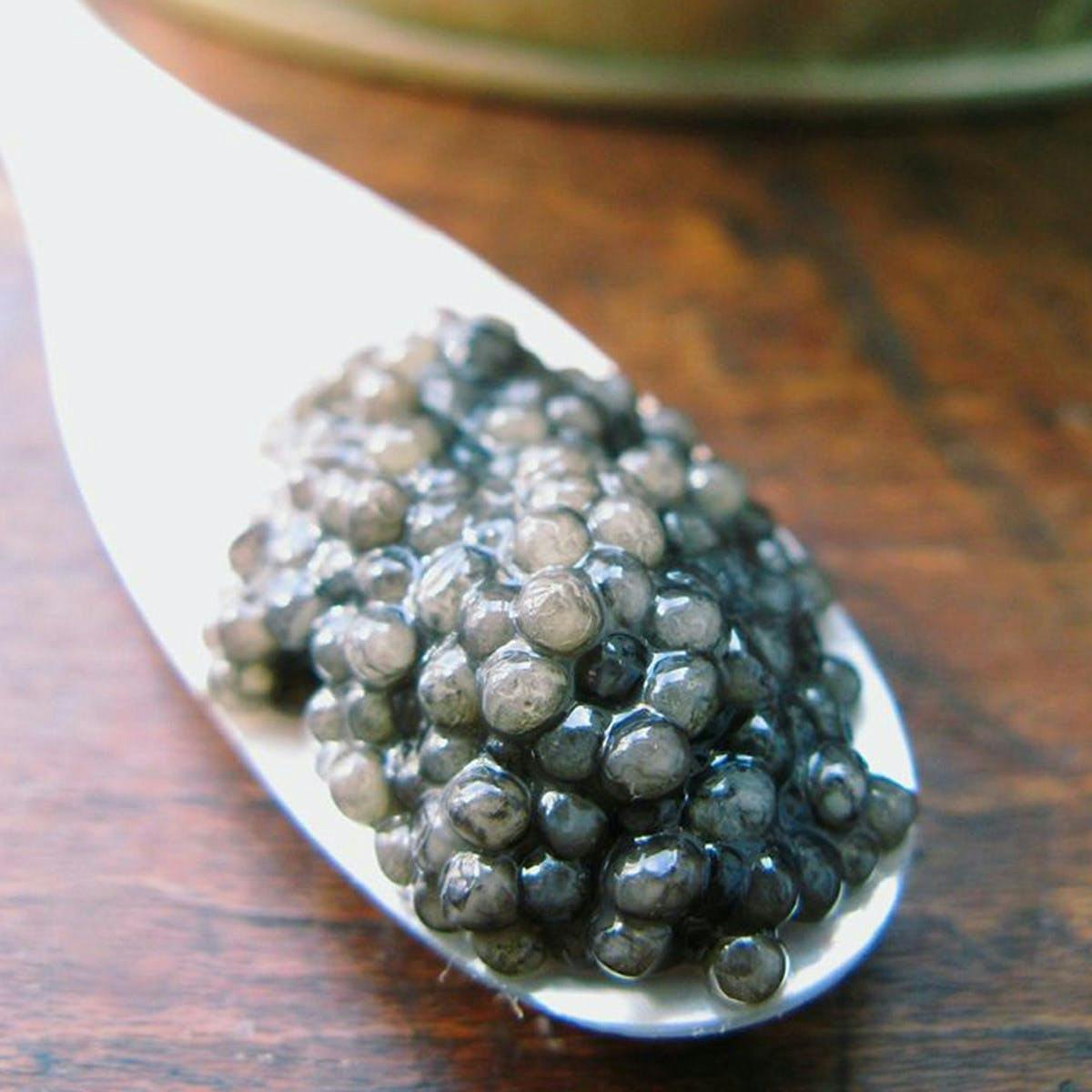 Paddlefish by Russ & Daughters