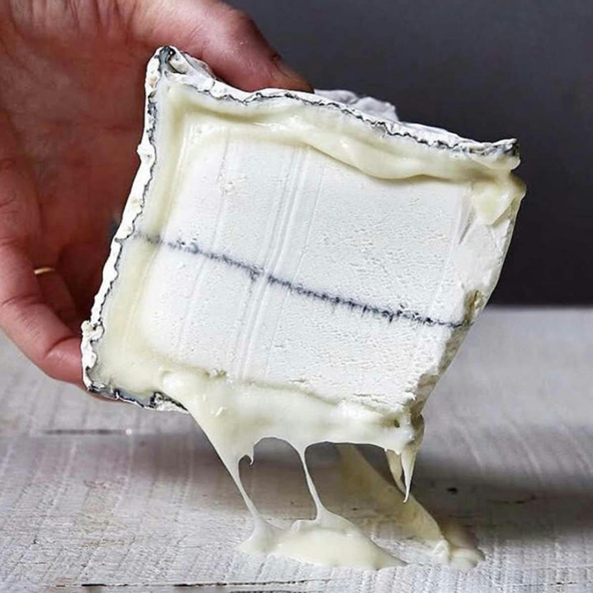 Humboldt Fog Grande Cheese Wheel - 5 lbs. by Cypress Grove Cheese