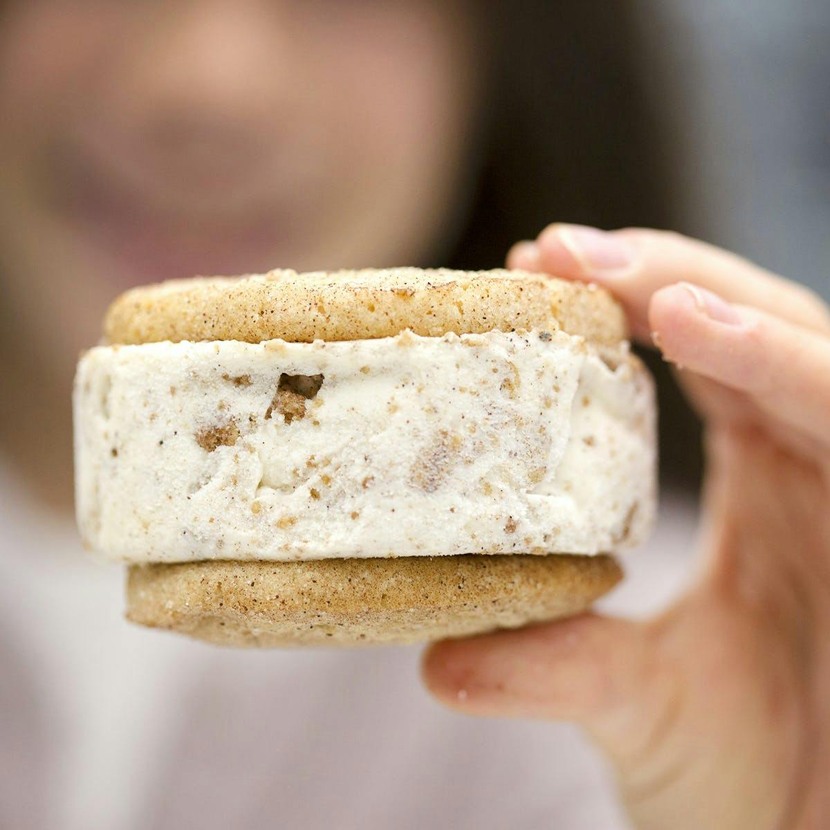 Choose Your Own Organic Ice Cream Sandwiches - 8 Pack by Revival Ice Cream