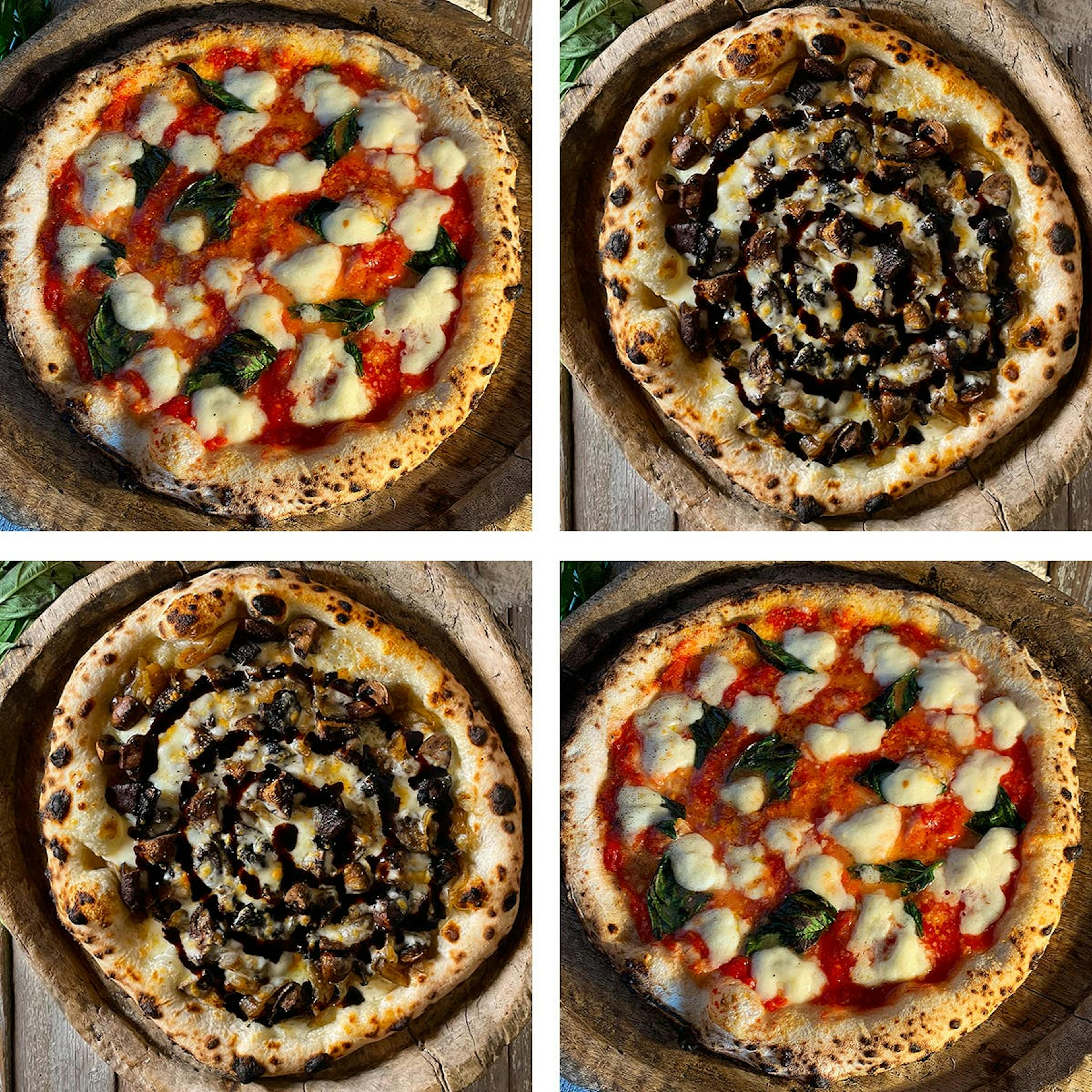 Fontina + Margherita Neapolitan Pizza - 4 Pack by Dough Pizzeria Napoletana