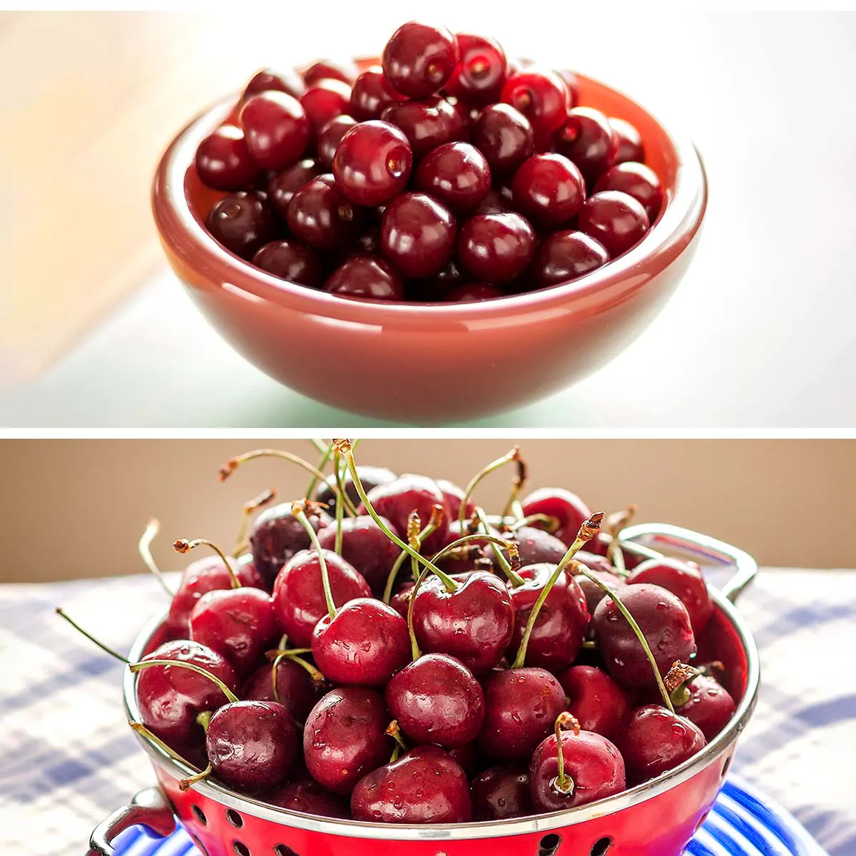 Sweet & Sour Michigan Cherries Combo - 6 lbs by Wunsch Family Farm