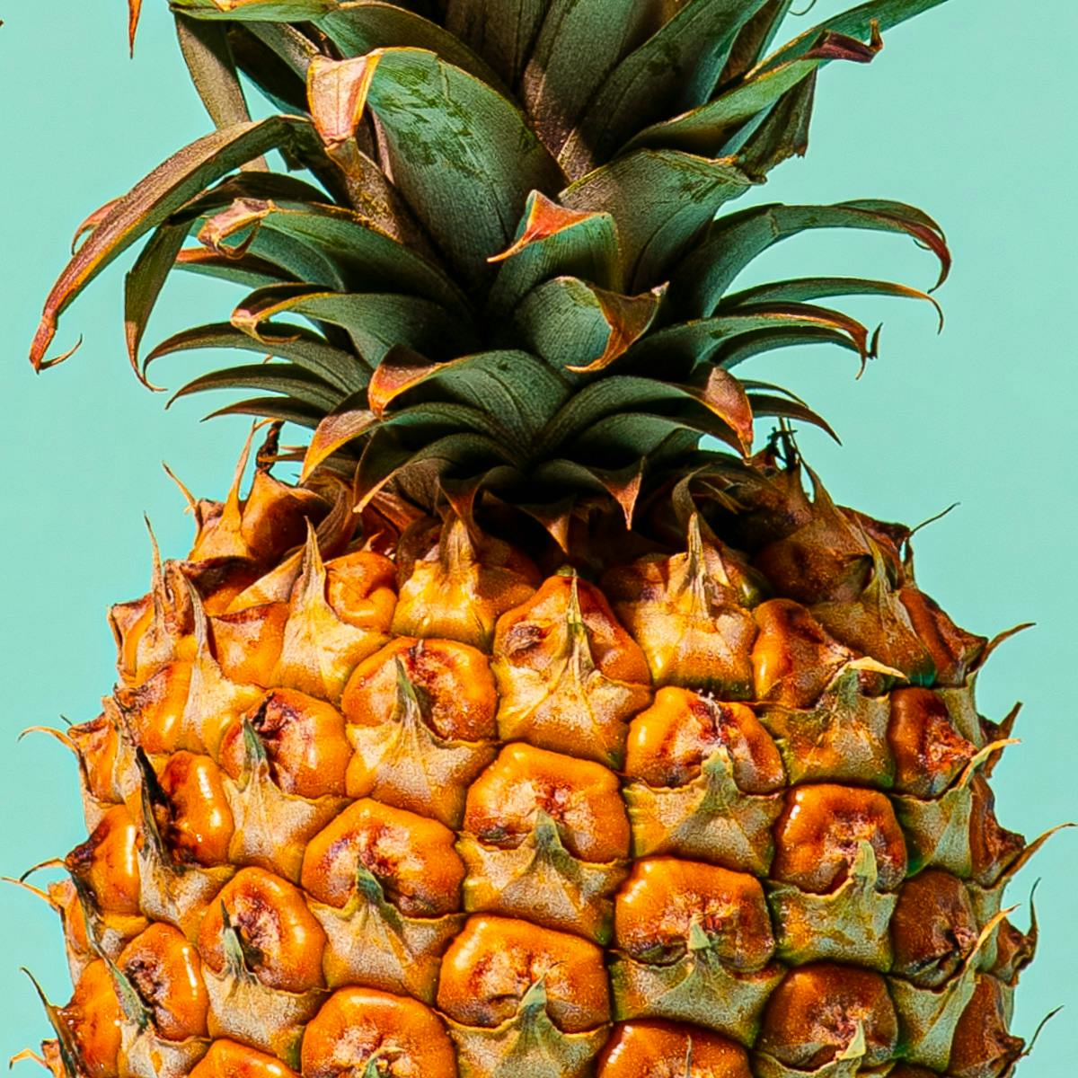 Reserved for pineapple8 orders