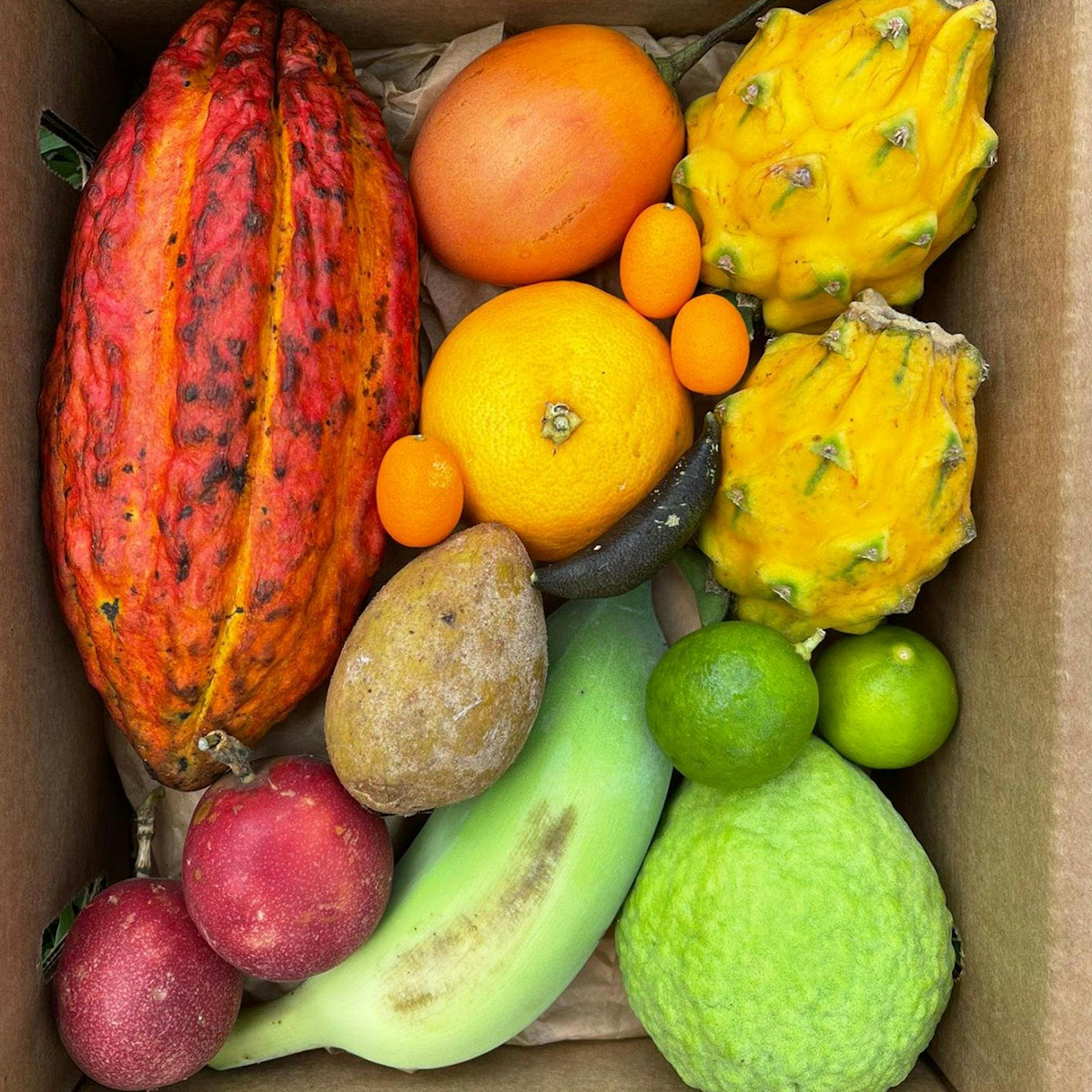 Fresh Fruit Variety Box by Miami Fruit
