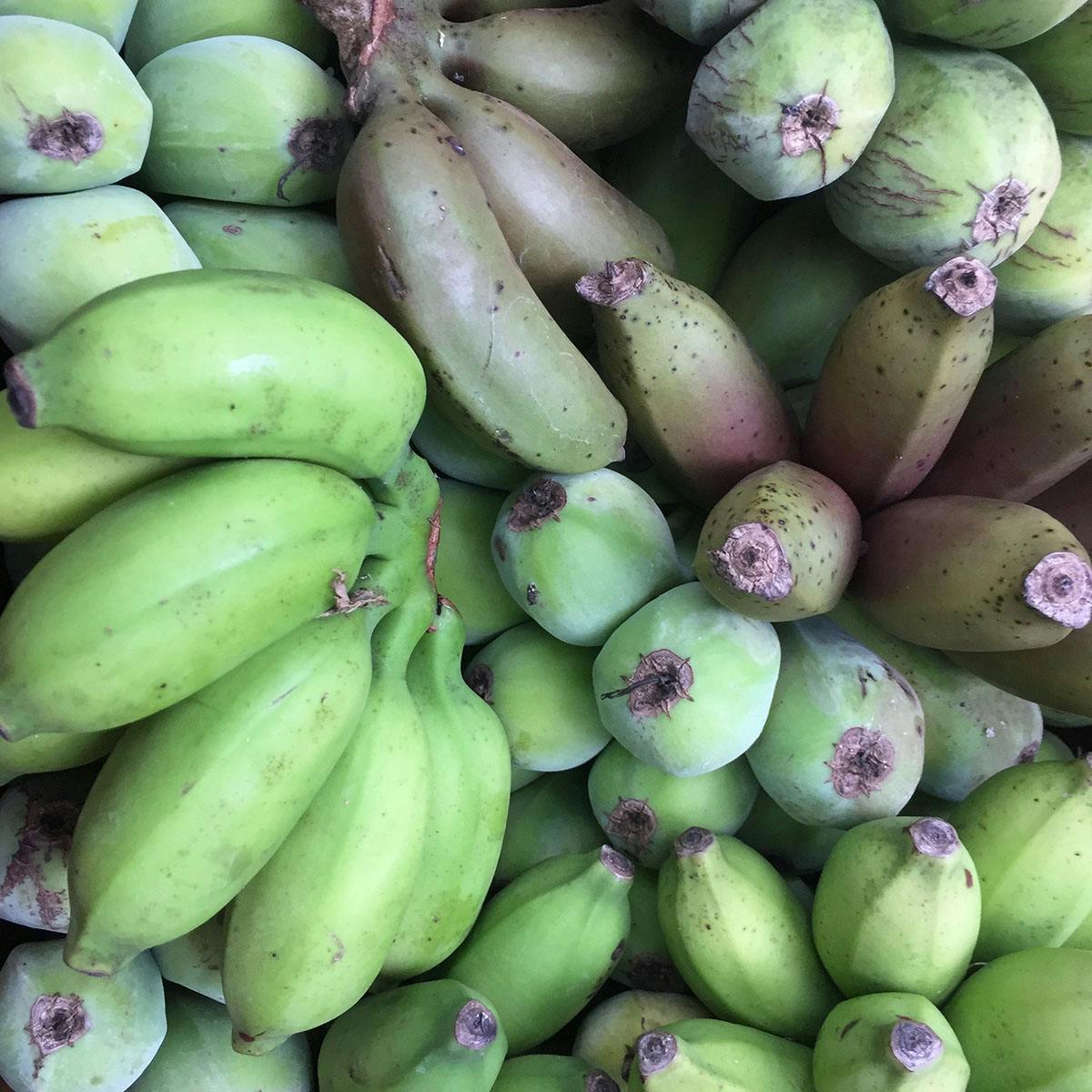 Banana Variety Box by Miami Fruit - Alternate image 3