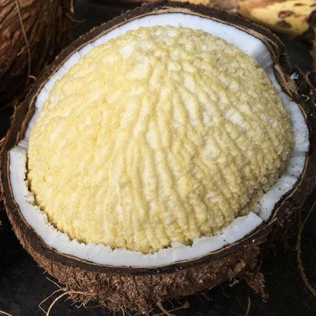 Sprouted Coconut Box by Miami Fruit - Alternate image 1