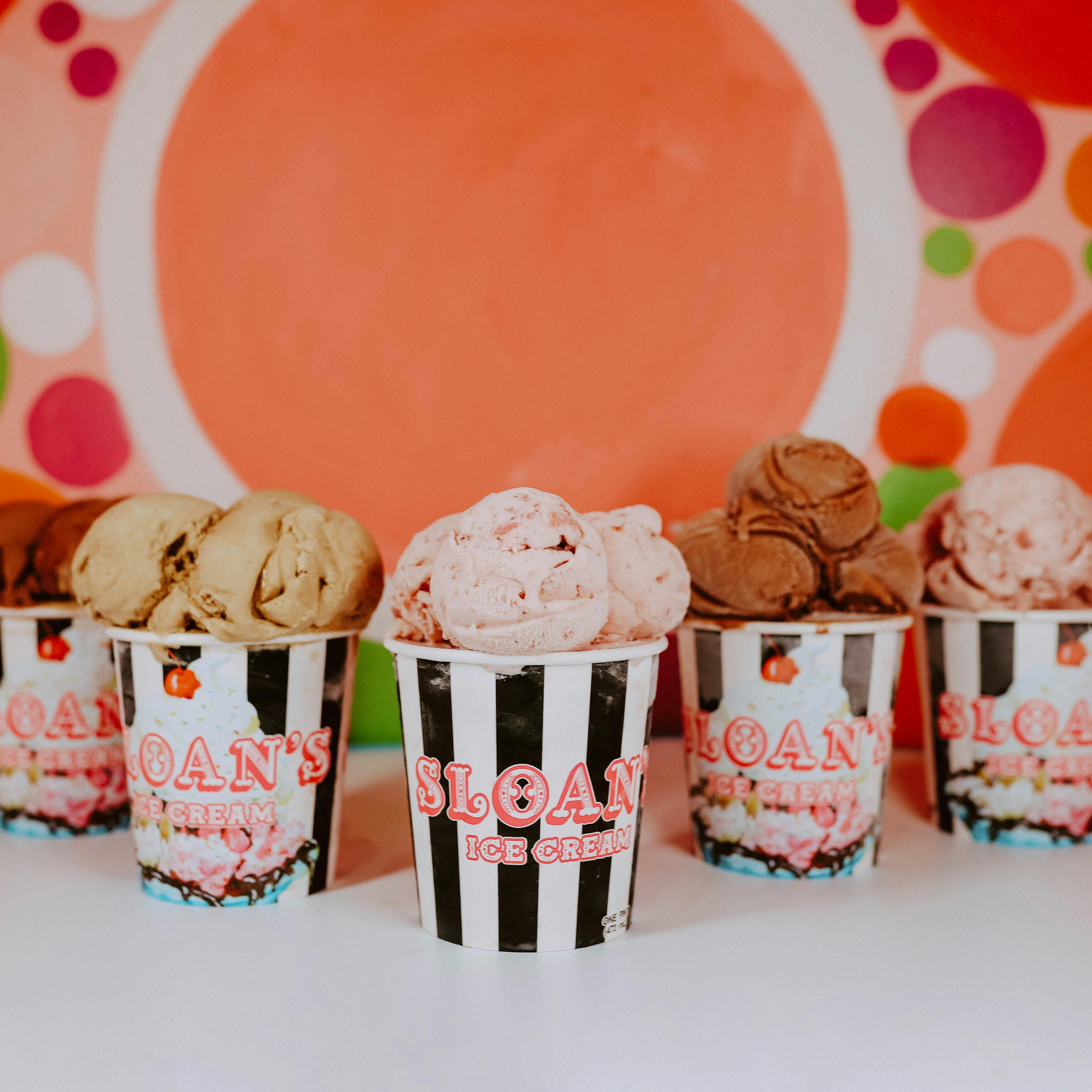 Vegan Ice Cream Best Seller Pints by Sloan's Ice Cream Goldbelly