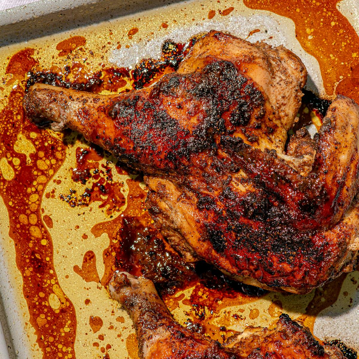 Citrus-Spiced Split Chicken Kit for 4 by Stephanie Izard's Girl & The Goat - Alternate image 4