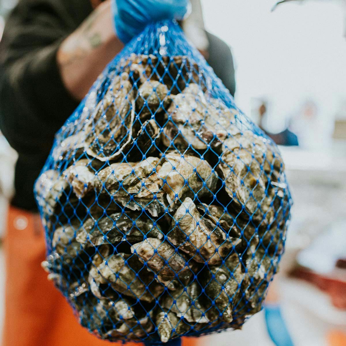 Medium Pacific Oysters – Live, Fresh, Pacific, 1 Dozen by Pike Place Fish Market - Alternate image 1