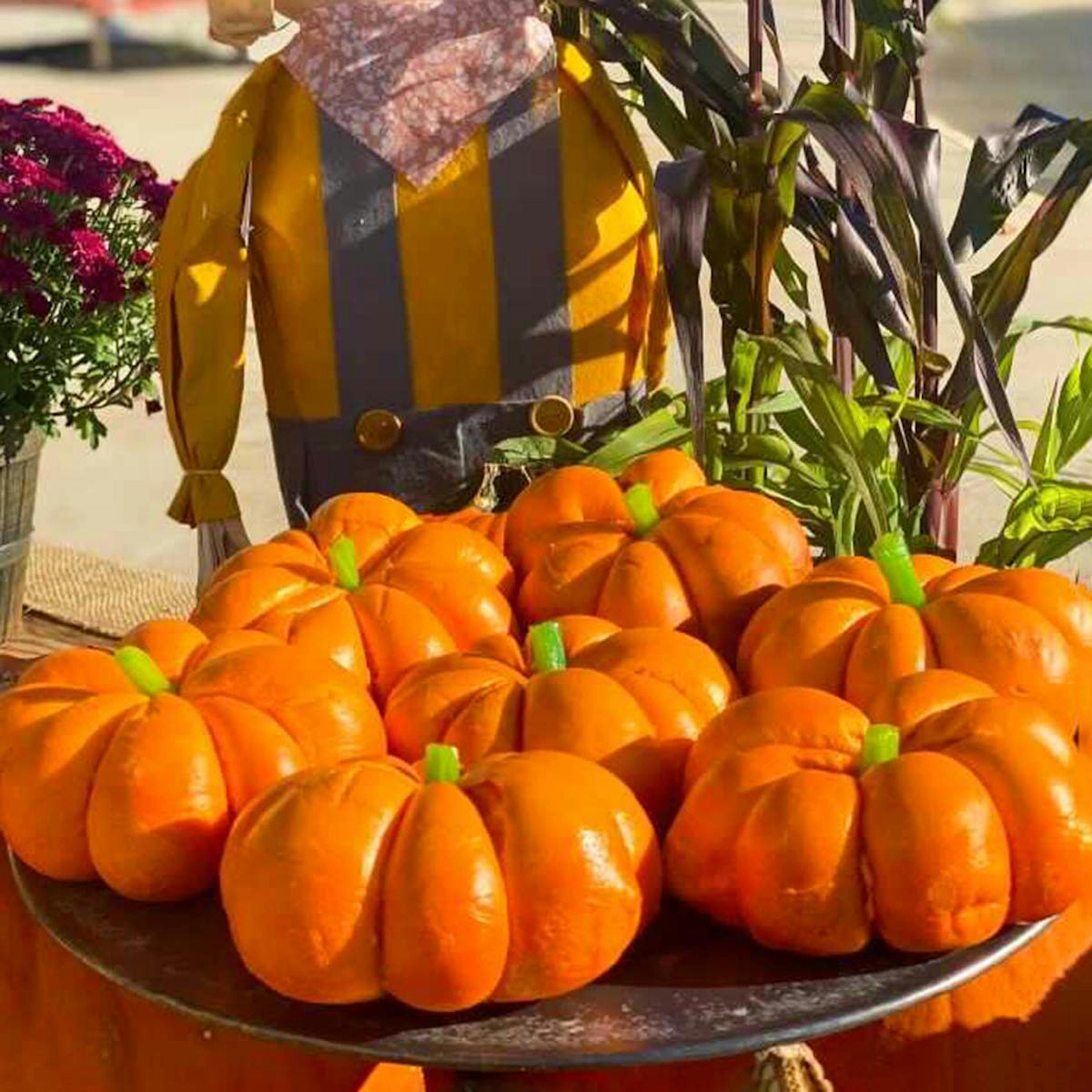 Pumpkin Bagel Dozen by The Bagel Nook - Alternate image 2