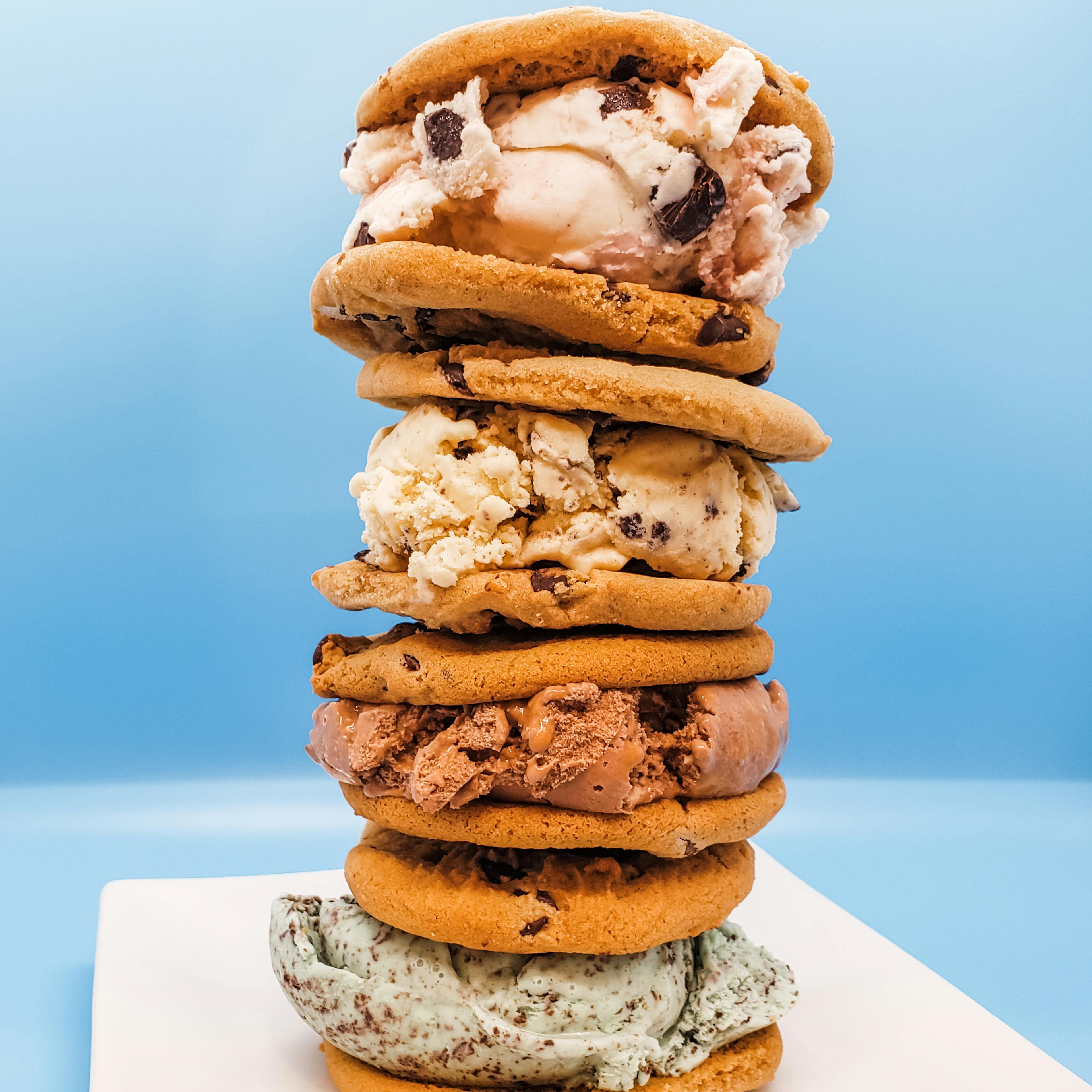 Chocolate Chip Ice Cream Sandwiches Sampler - 8 Pack by Bridgeman's Ice Cream