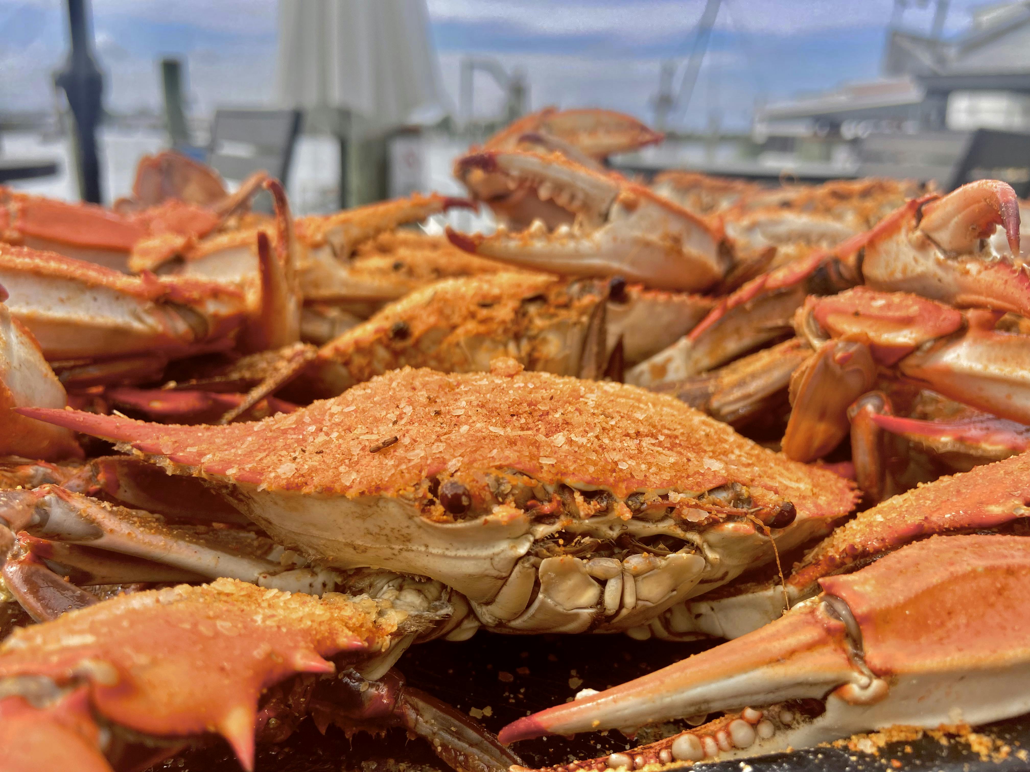 #1 Steamed Blue Crab Kit - 12 Pack by Harris Crab House - Alternate image 1