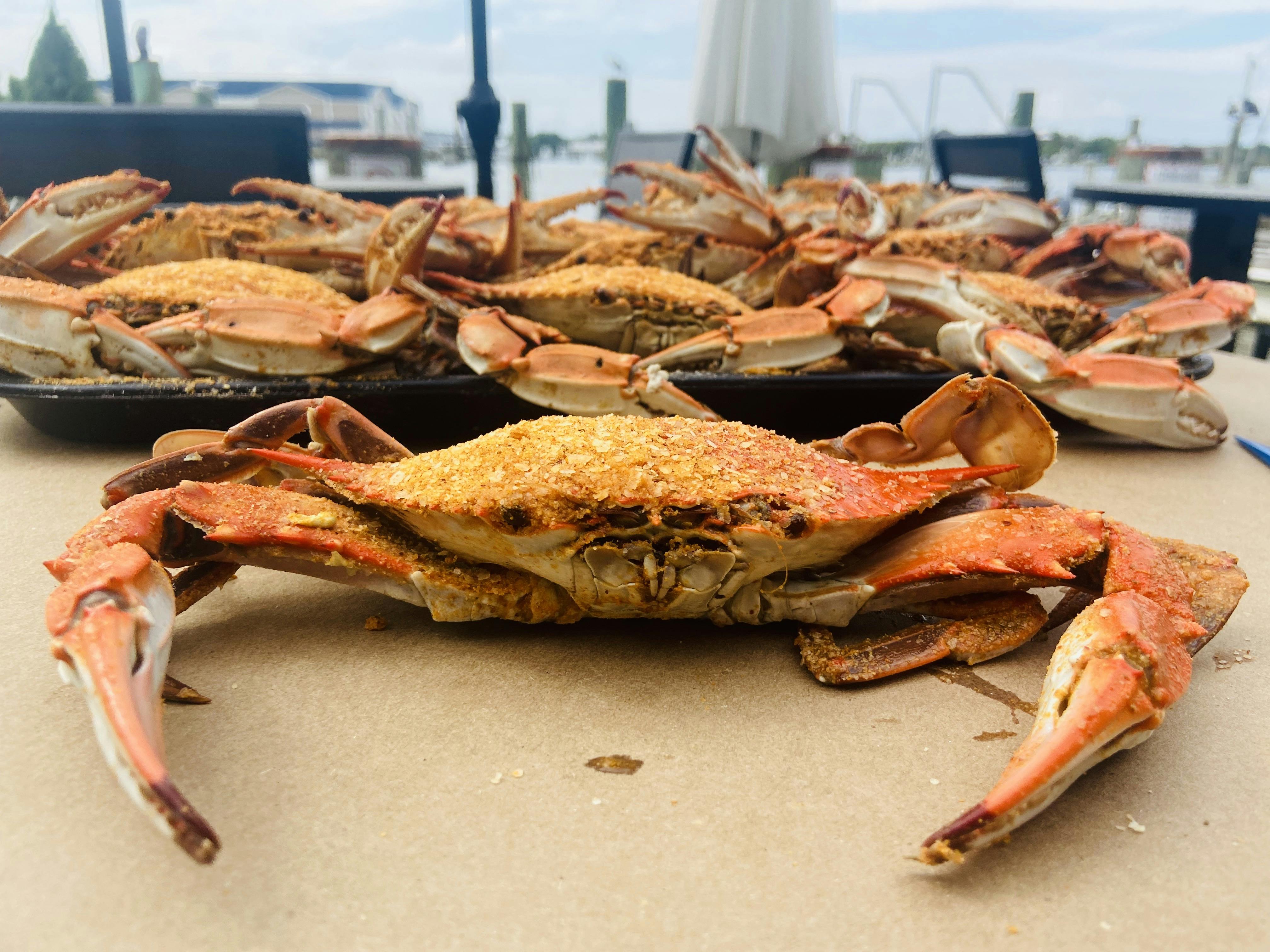 #1 Steamed Blue Crab Kit - 12 Pack by Harris Crab House