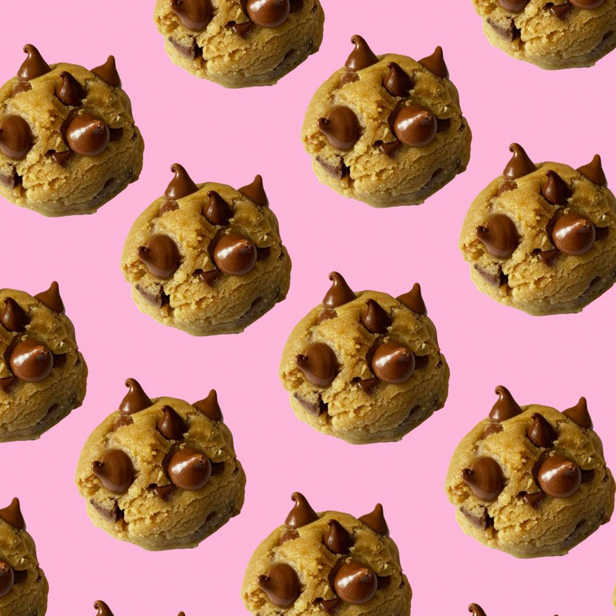 Cookies and Schmear Sampler - 12 Pack by Cookies and Schmear - Alternate image 5