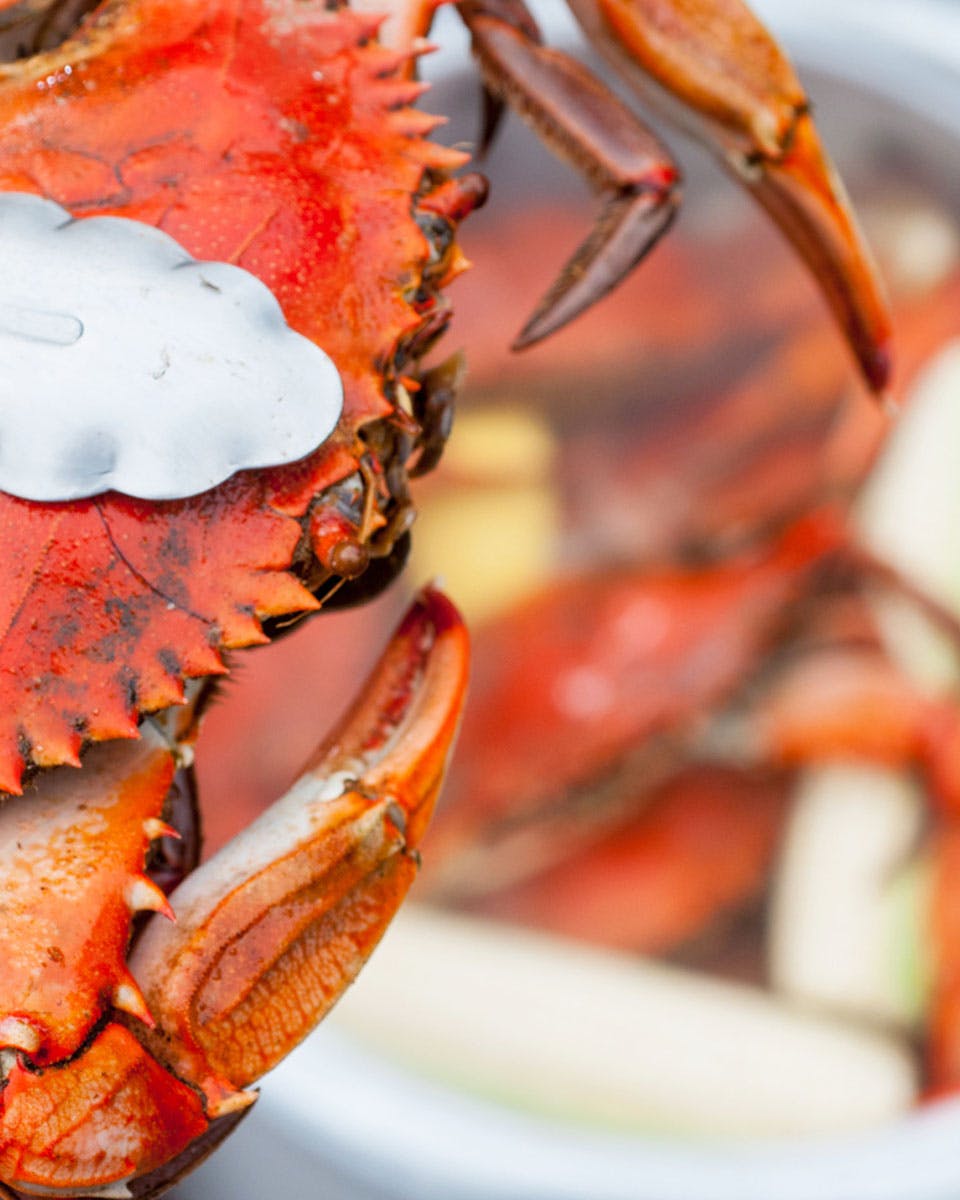 Seasoning - HHC - Seafood Seasoning - Harbour House Crabs