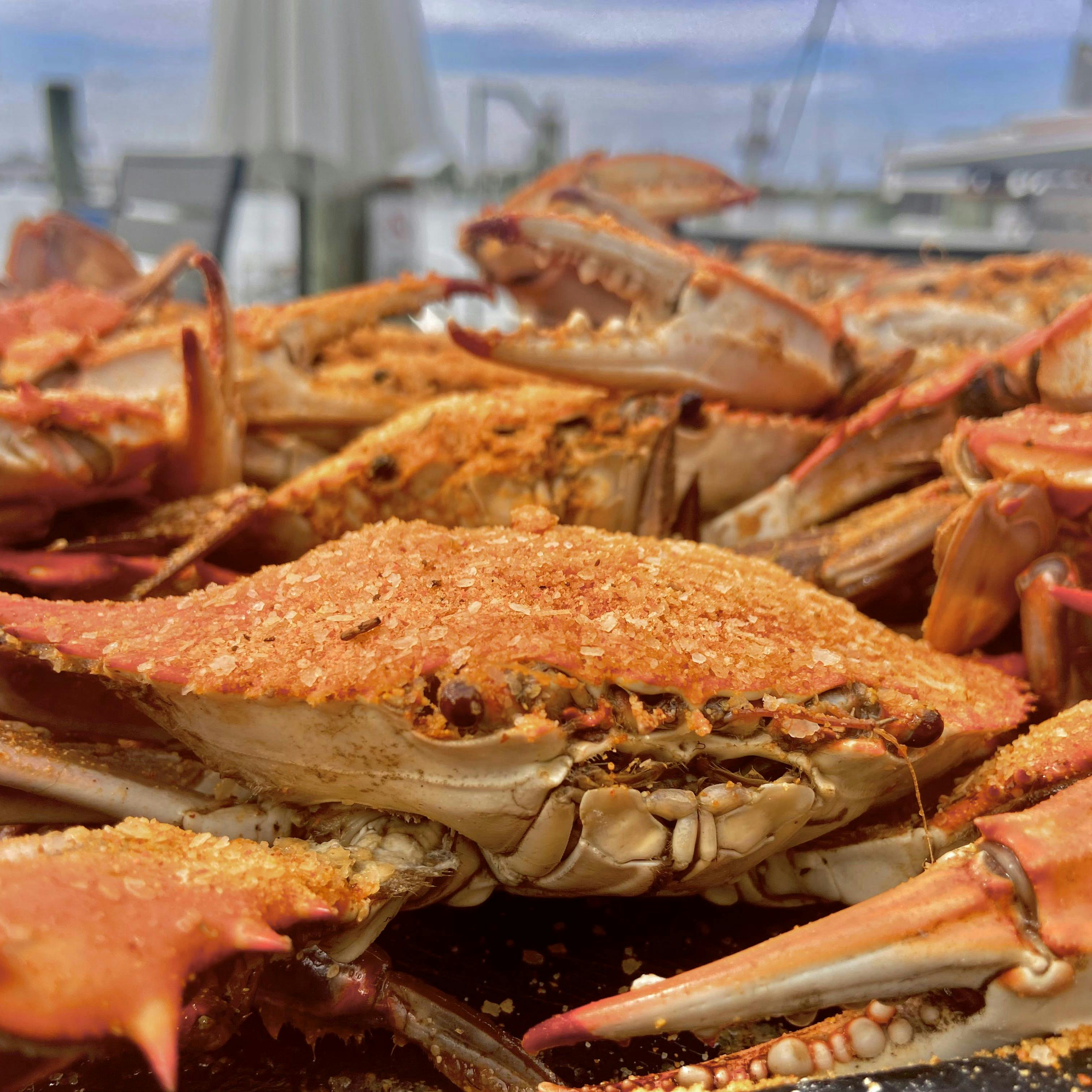 Select #1 Steamed Blue Crab Kit - 12 Pack by Harris Crab House - Alternate image 2