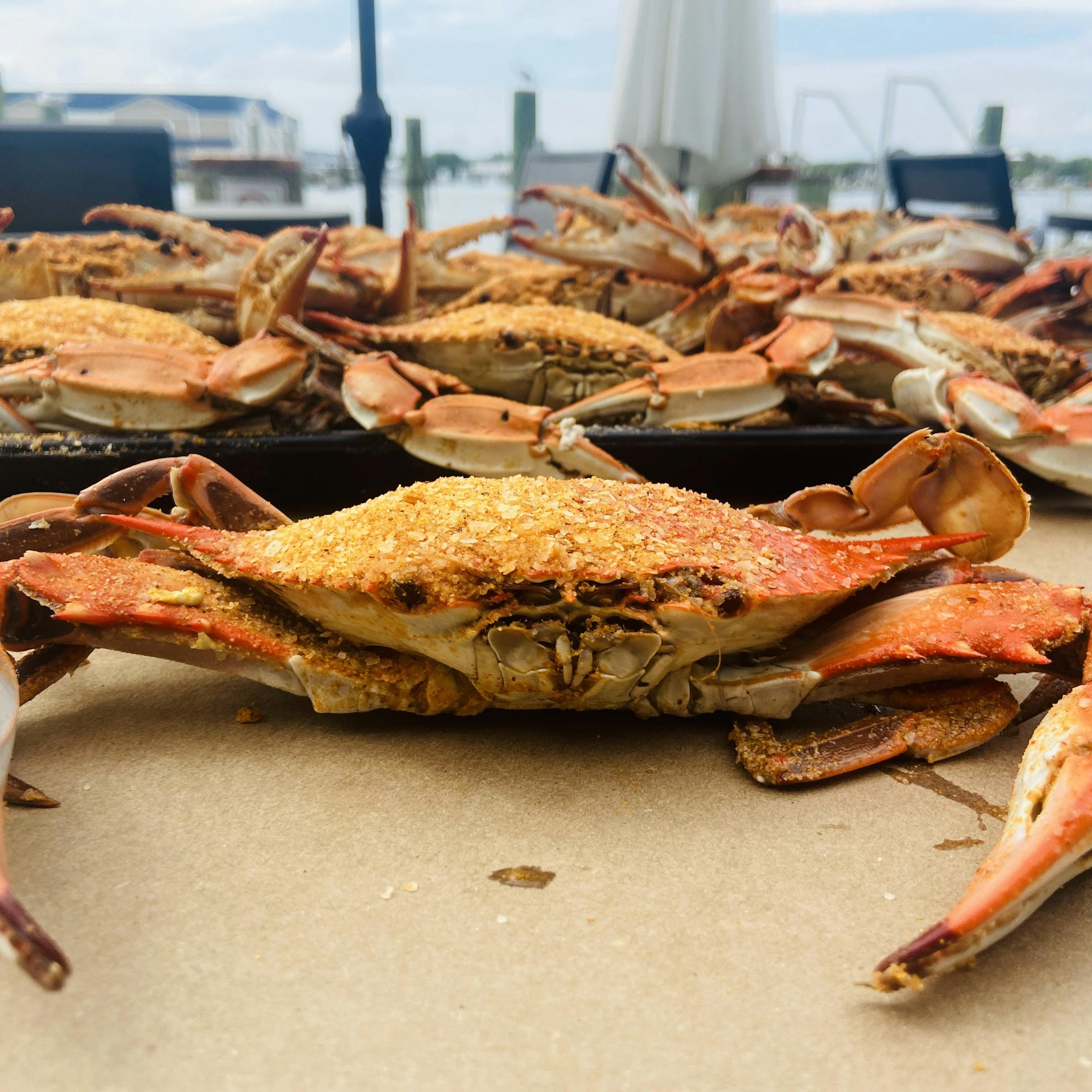 Select #1 Steamed Blue Crab Kit - 12 Pack by Harris Crab House