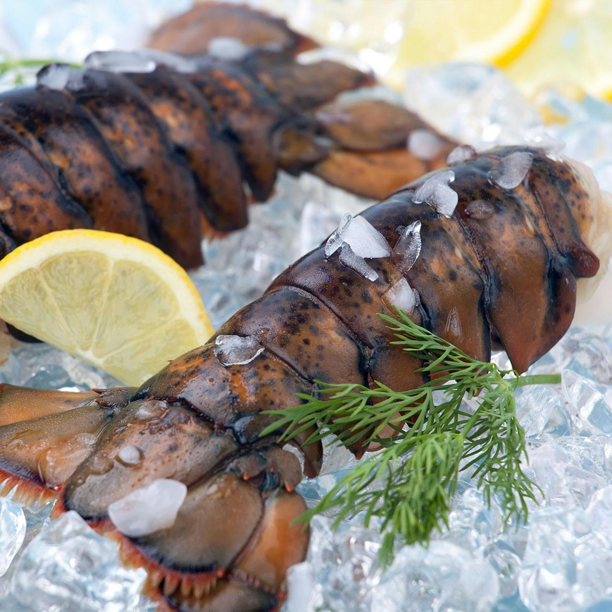 Seafood Lovers Dinner Delight Box by Chesapeake Bay Gourmet - Alternate image 2