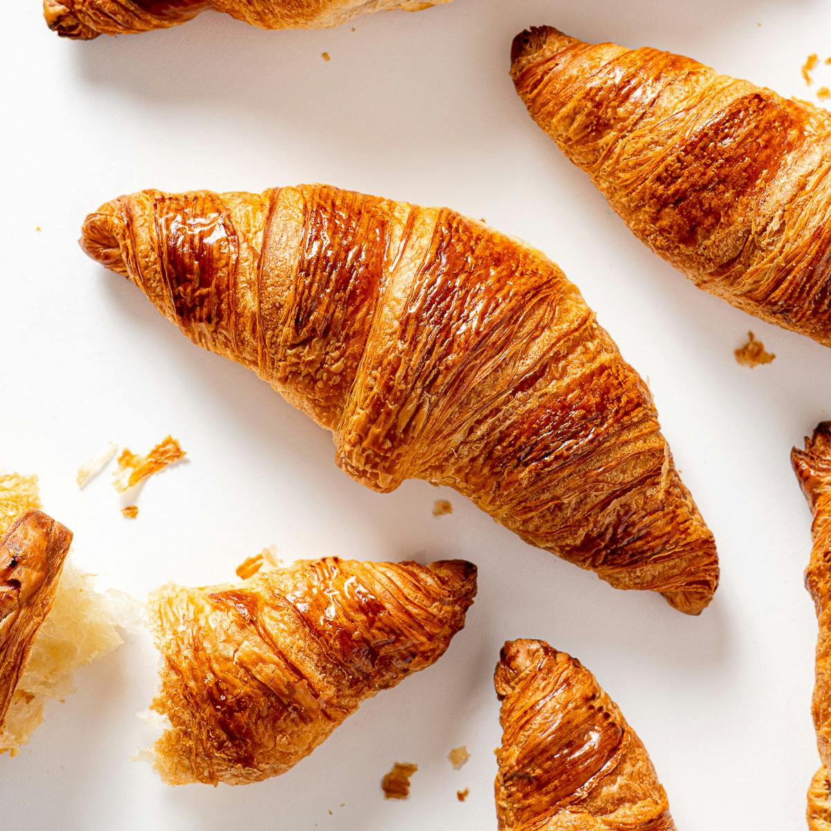 Croissant Assortment - 12 Pack by Martha Stewart - Alternate image 8
