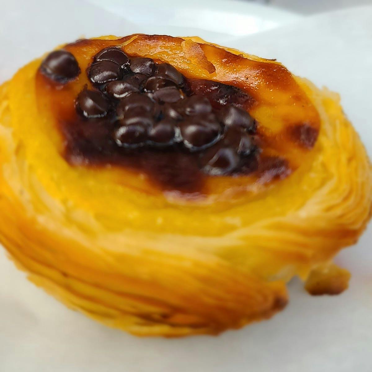 Chocolate Pastéis de Nata - 24 Pack by Joey Bats Café - Alternate image 1