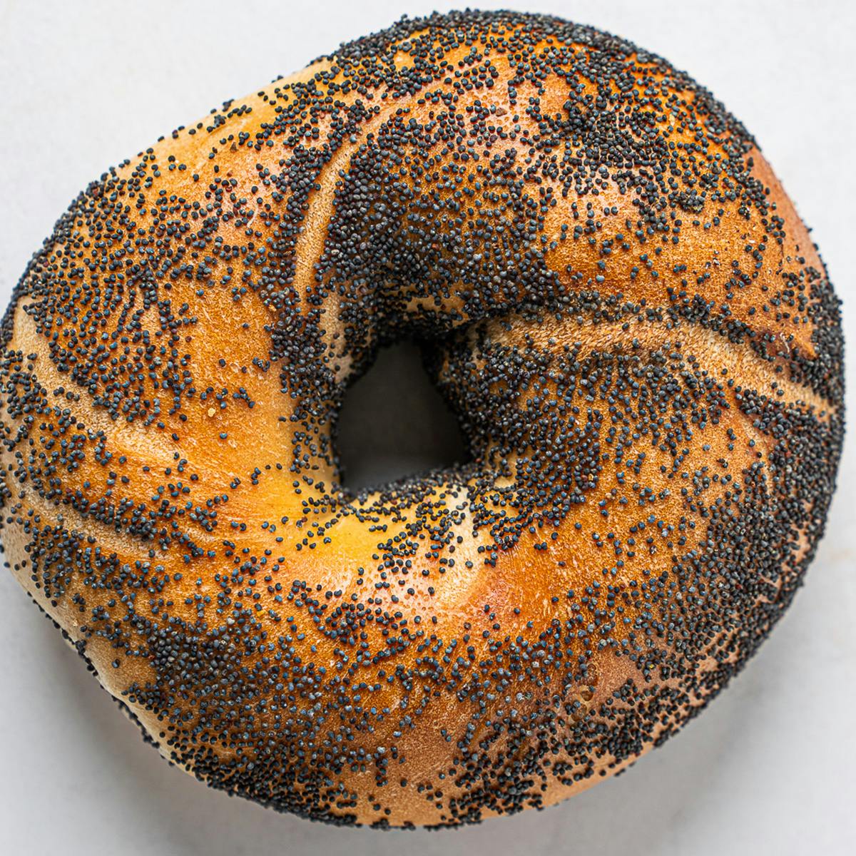 Famous Bagels Dozen by Kossar's Bagels & Bialys - Alternate image 12