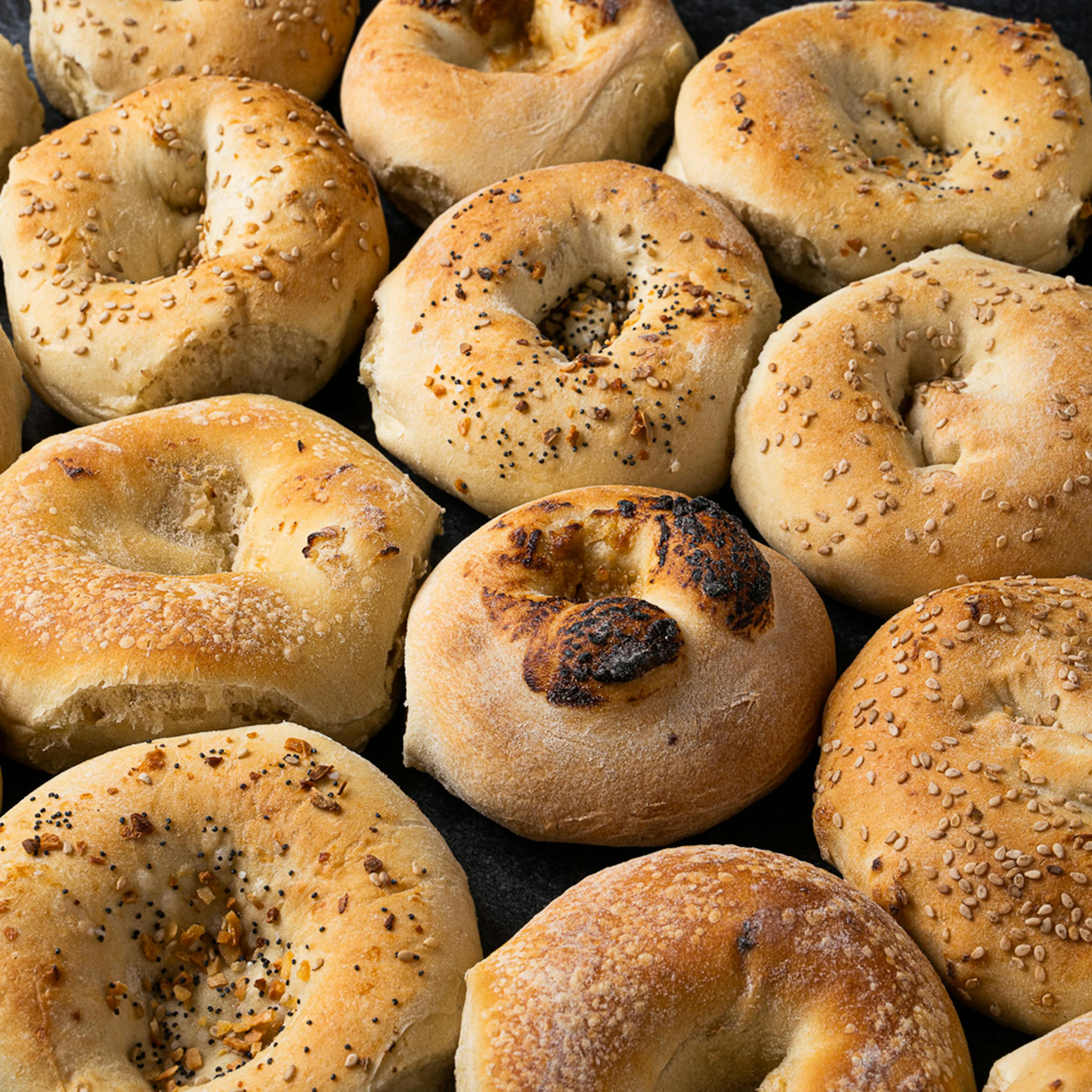 Famous Bialys Two Dozen by Kossar's Bagels & Bialys - Alternate image 2