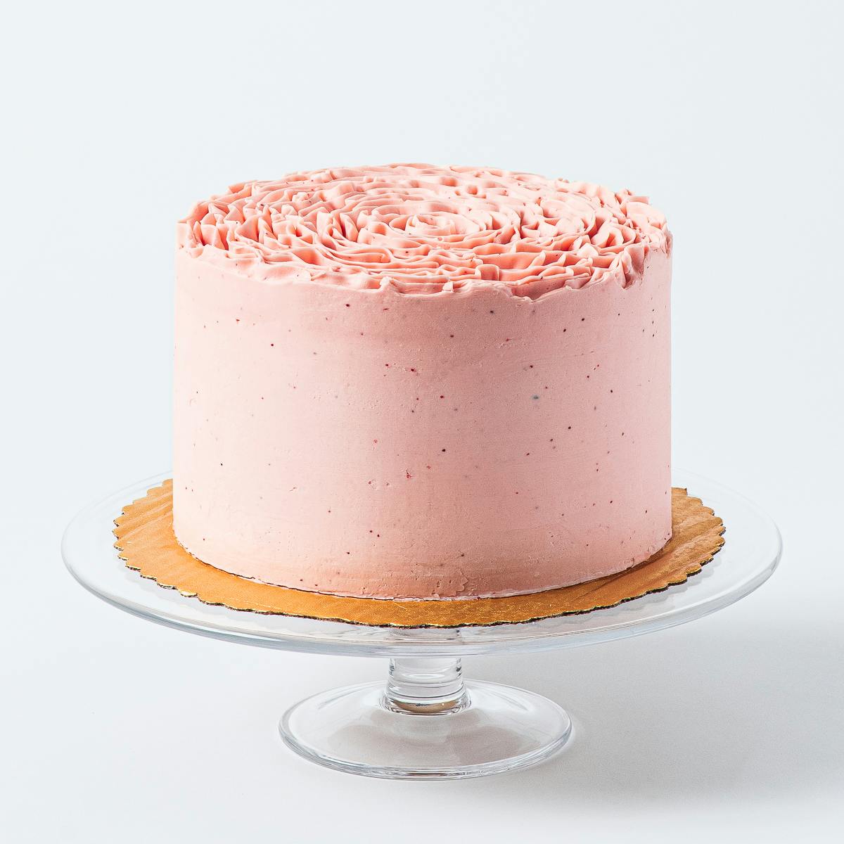 Martha Stewart's Cake Perfection: 100+ Recipes for the Sweet Classic, from  Simple to Stunning