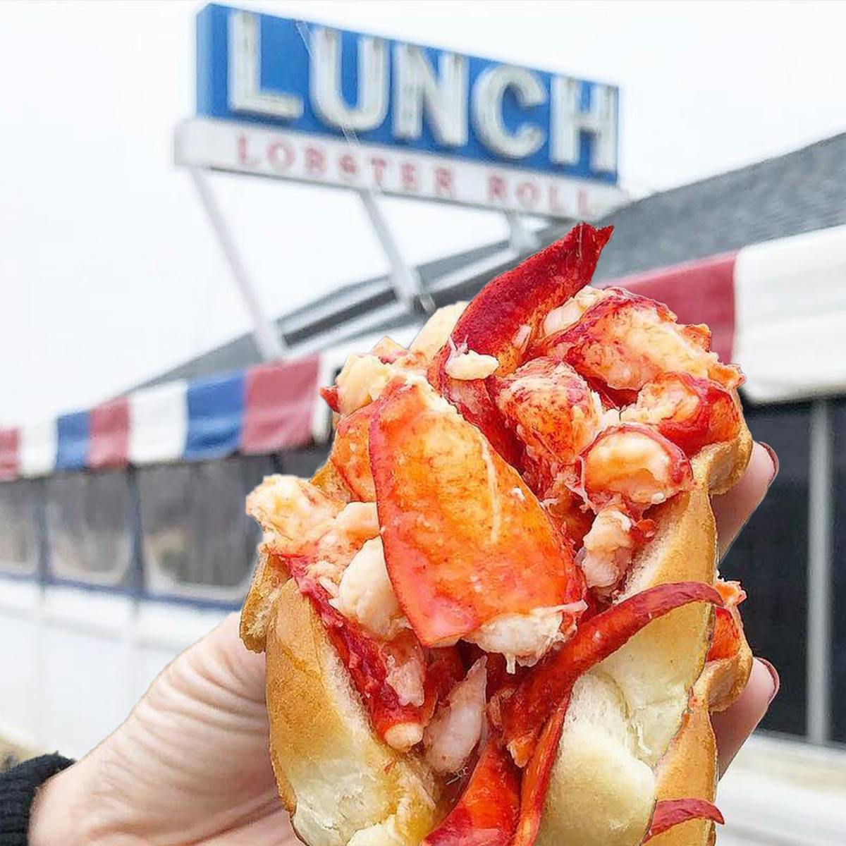 "Hot" Lobster Roll Kit - 8 Pack by LUNCH Lobster Roll - Alternate image 1