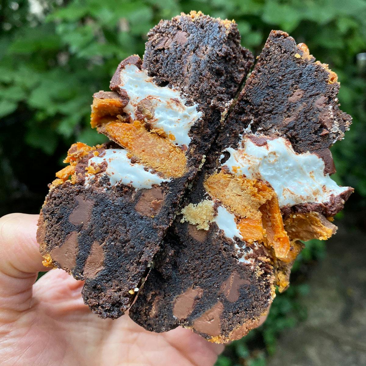 "Fall Back" GIANT Cookies Pack by Big Fat Cookie - Alternate image 7