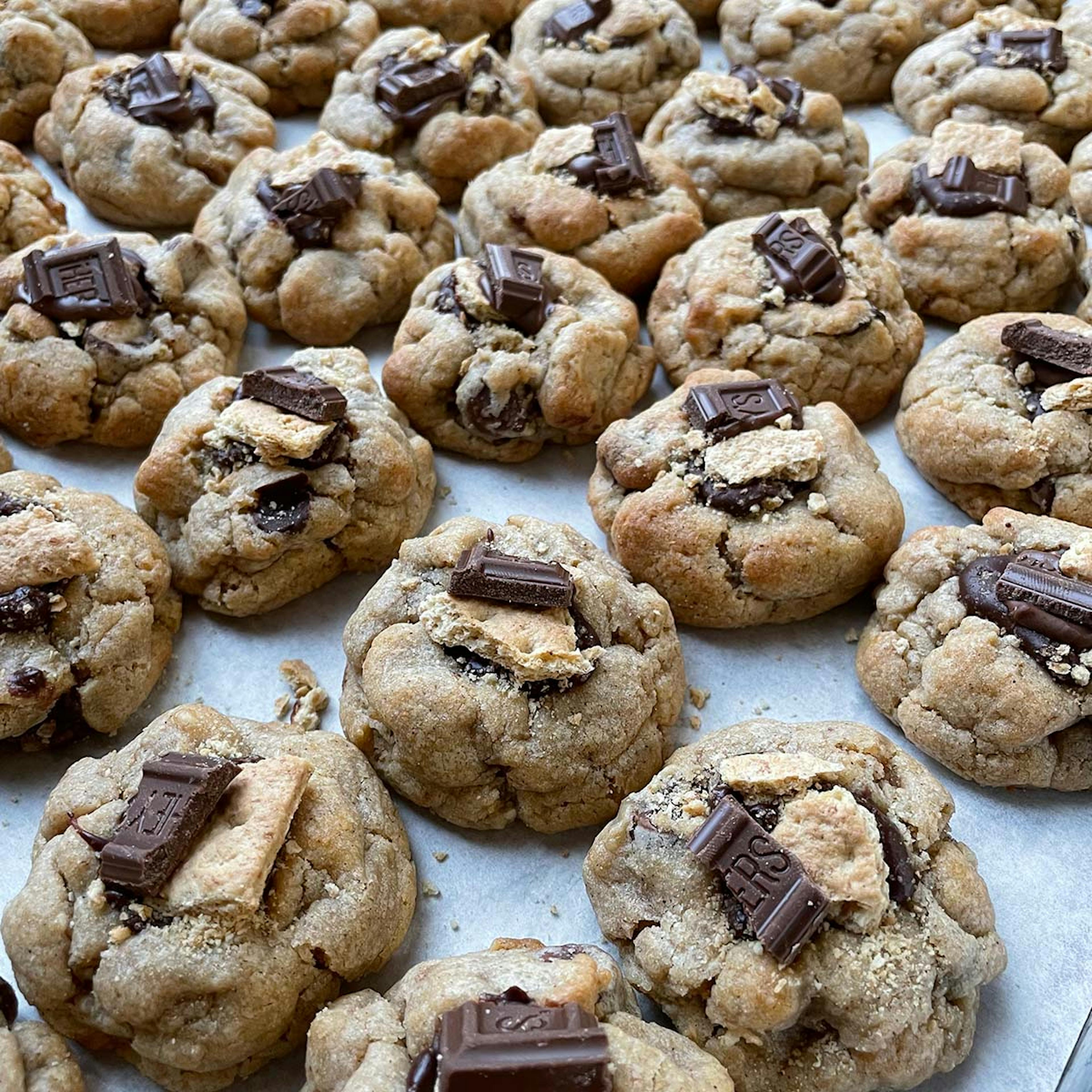 "Little Fats" Assorted Mini Cookies - 16 Pack by Big Fat Cookie - Alternate image 1