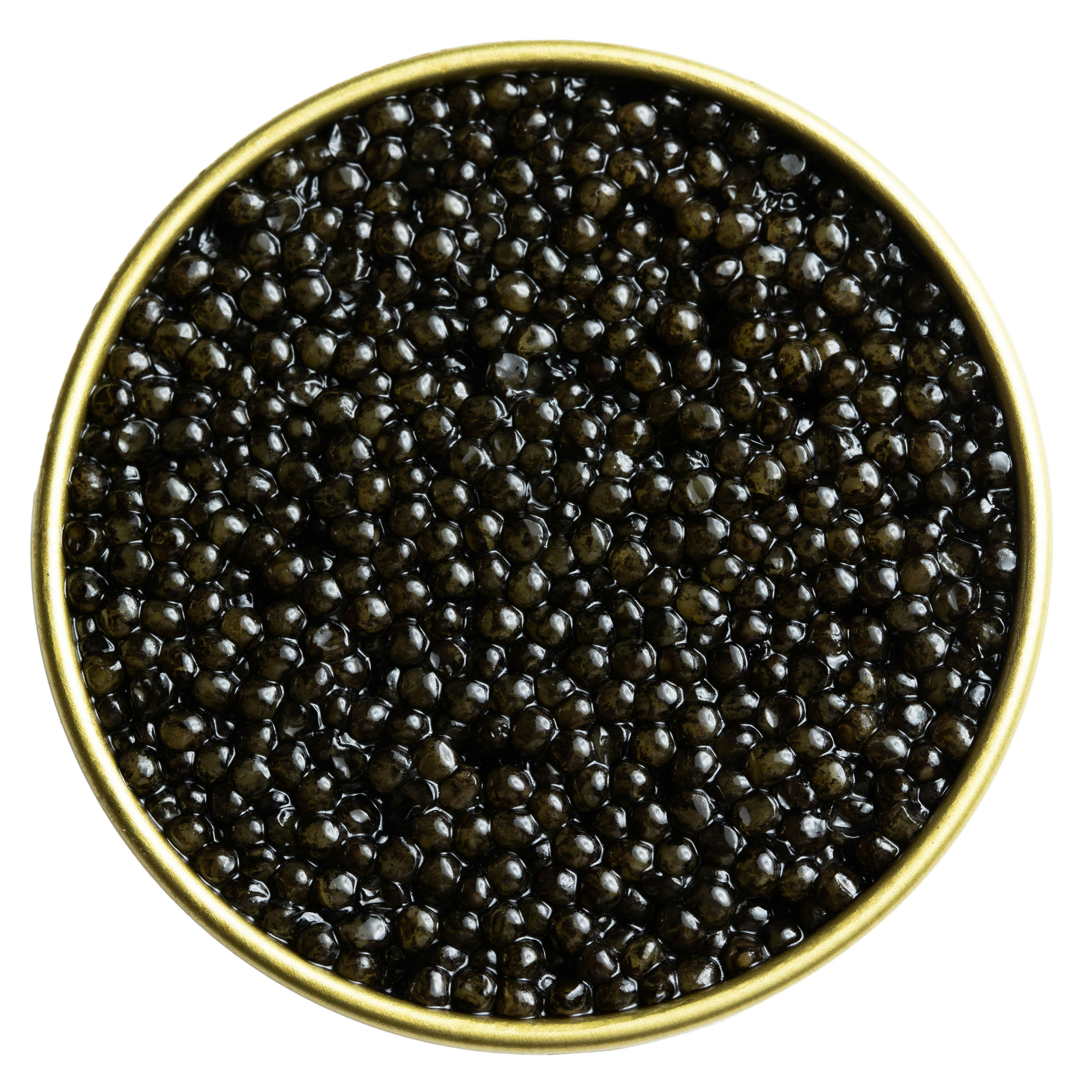Siberian Baerii Caviar by Chef Thomas Keller's Regiis Ova Caviar
