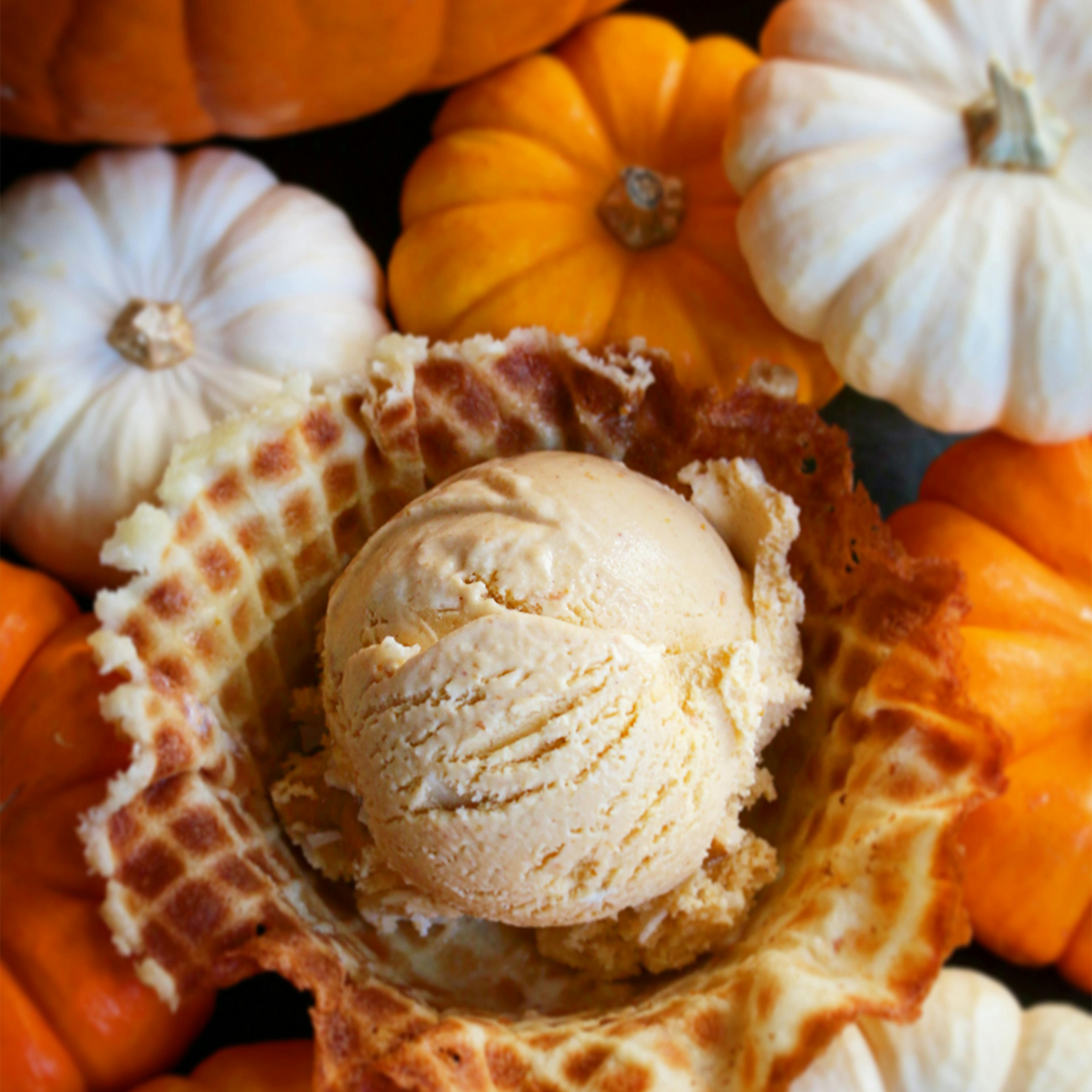 Holiday Ice Cream - 6 Pints by Humphry Slocombe Ice Cream - Alternate image 3