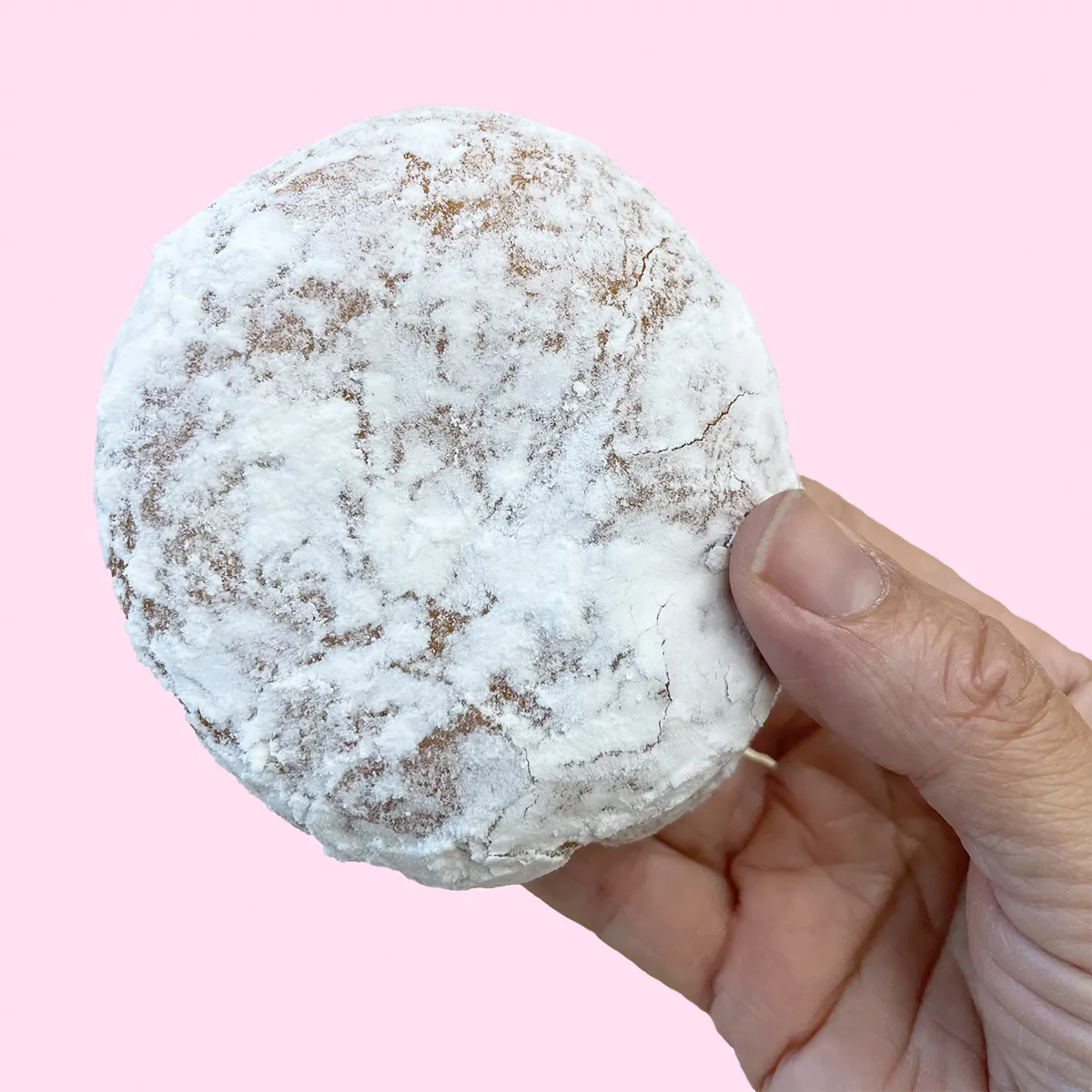 Hanukkah jelly donuts nyc