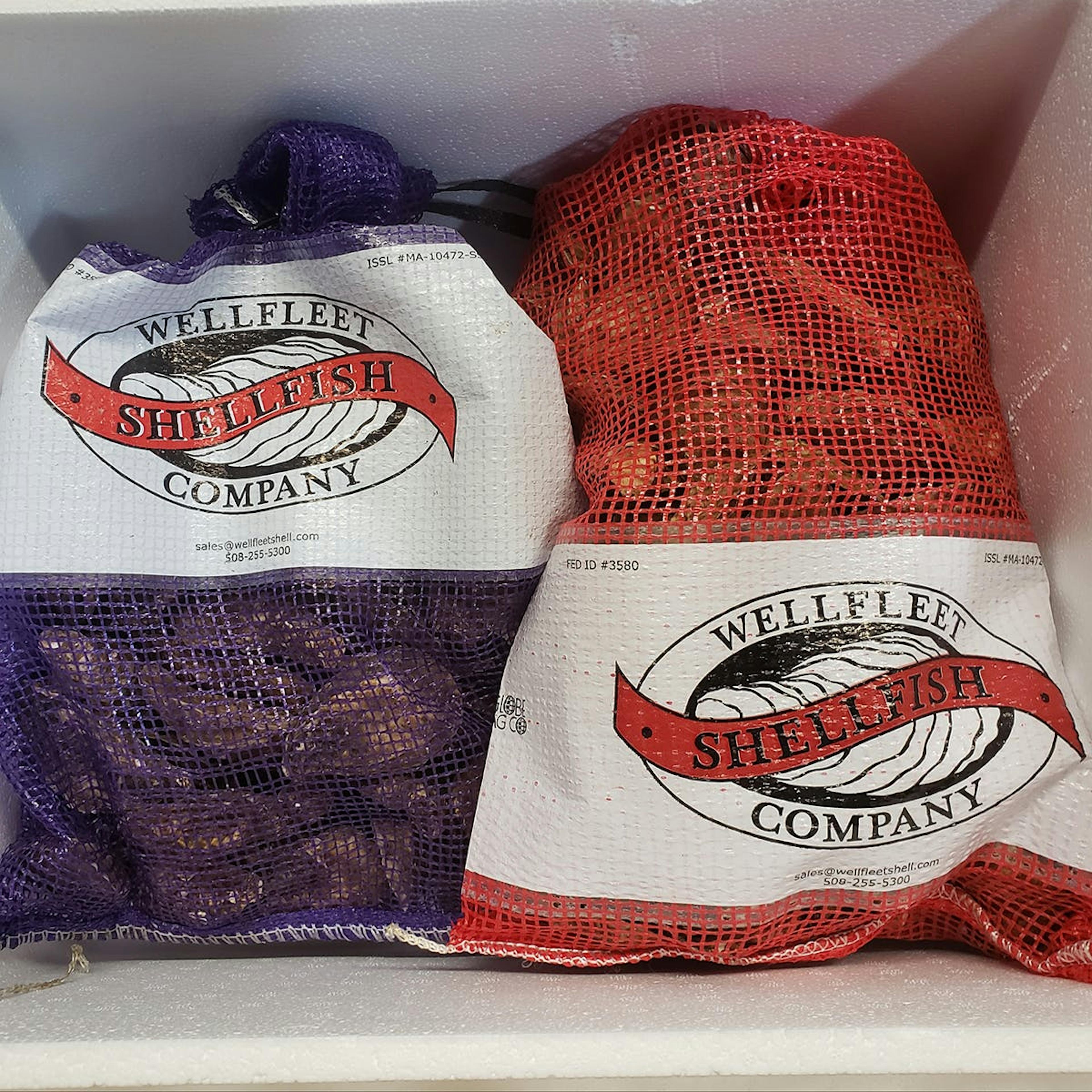 Wellfleet Oysters + Clams - 100 Pack by Wellfleet Shellfish Co. - Alternate image 6