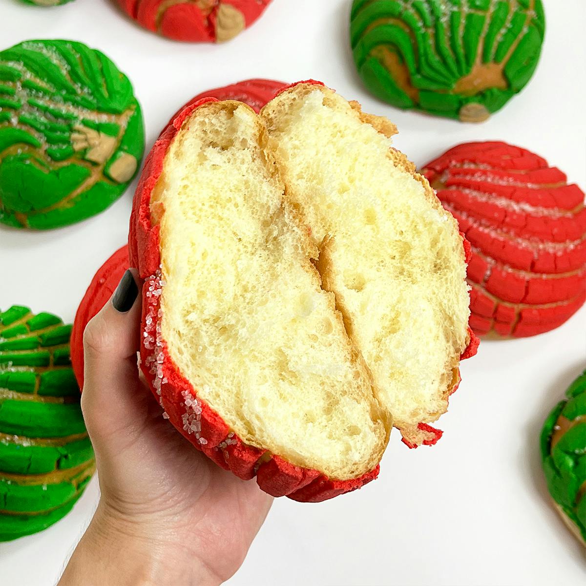 Christmas "Concha" Sweet Bread - 12 Pack by El Bolillo Bakery - Alternate image 2