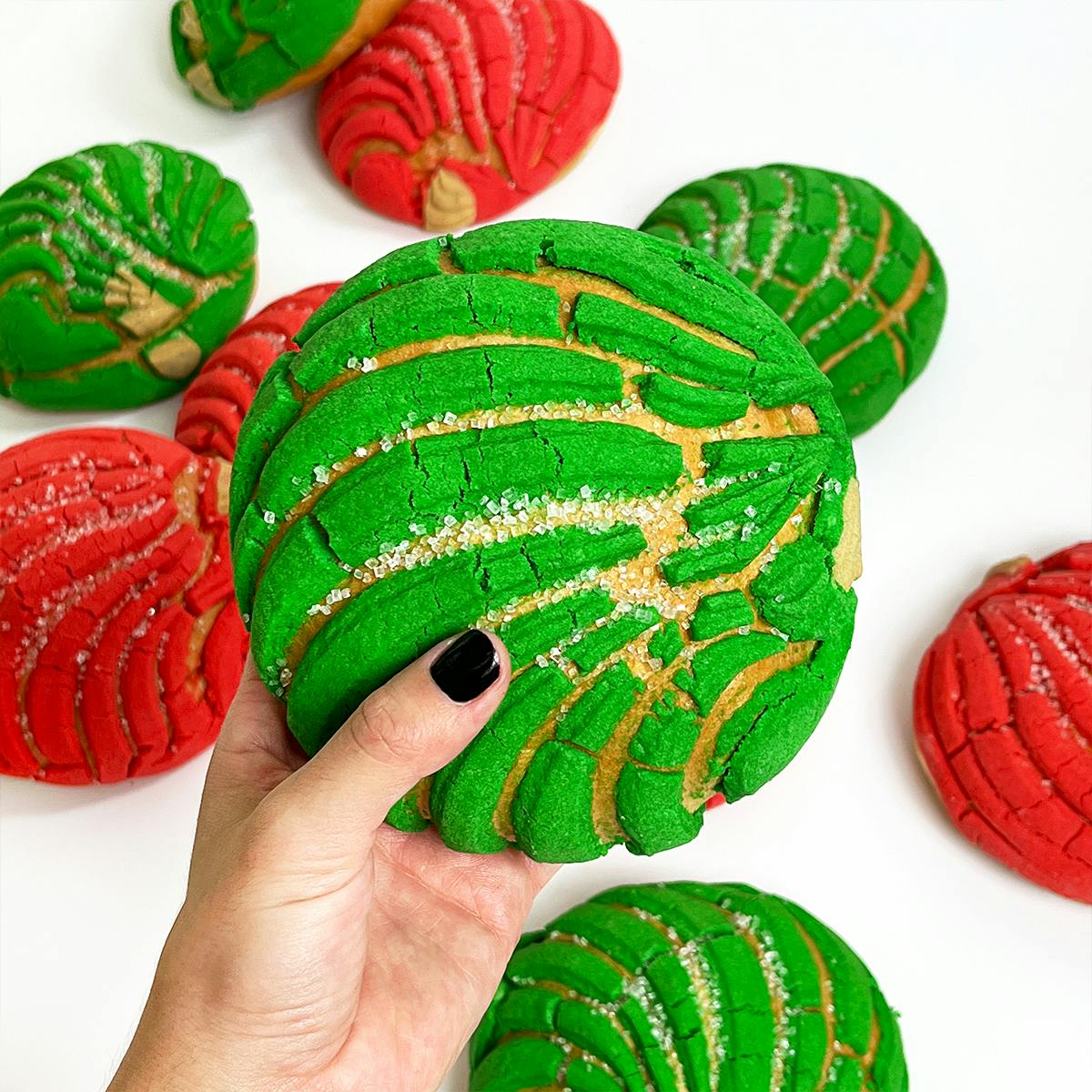 Christmas "Concha" Sweet Bread - 12 Pack by El Bolillo Bakery - Alternate image 3