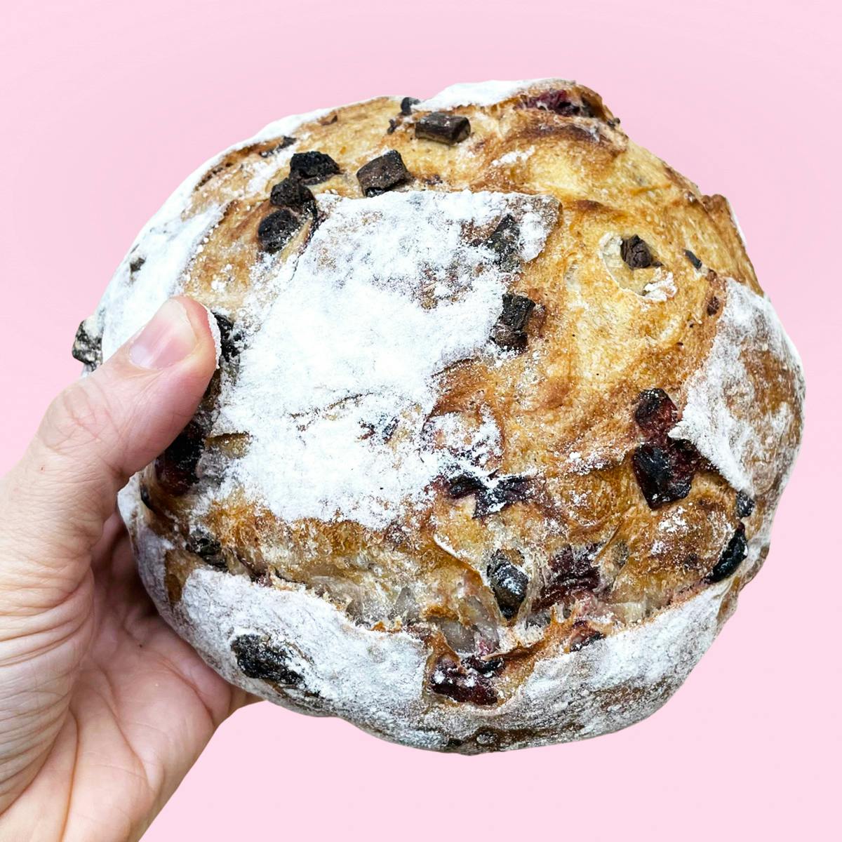 Chocolate Cherry Bread - 2 Pack by Collegetown Bagels - Alternate image 1