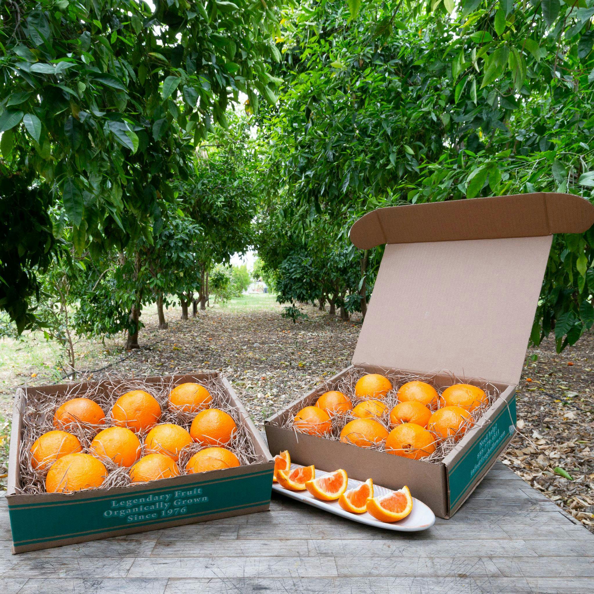 Navel Oranges, Gourmet Citrus-Al's Family Farms