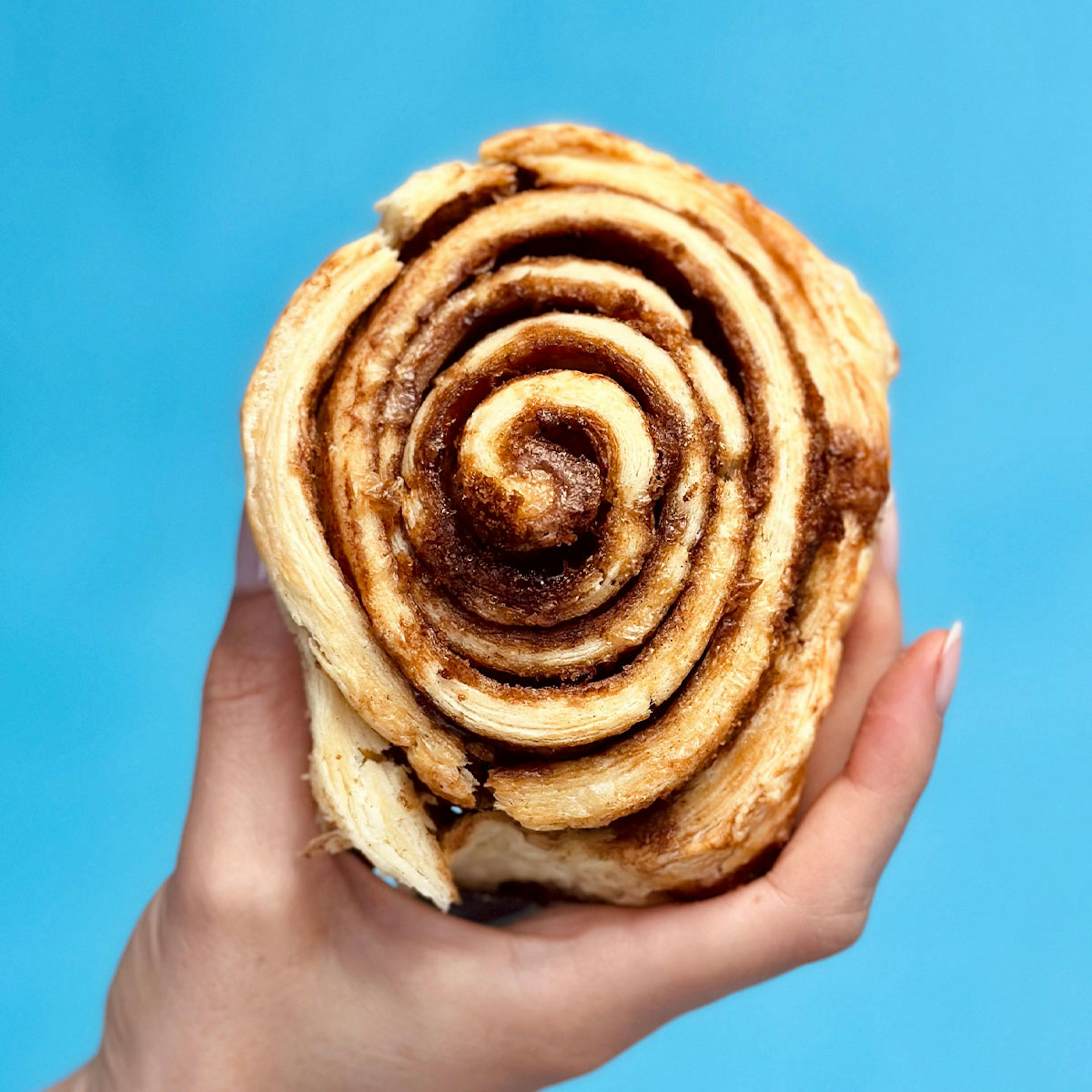 Biscuit Cinnamon Rolls - 8 Pack by Biscuit Love - Alternate image 2