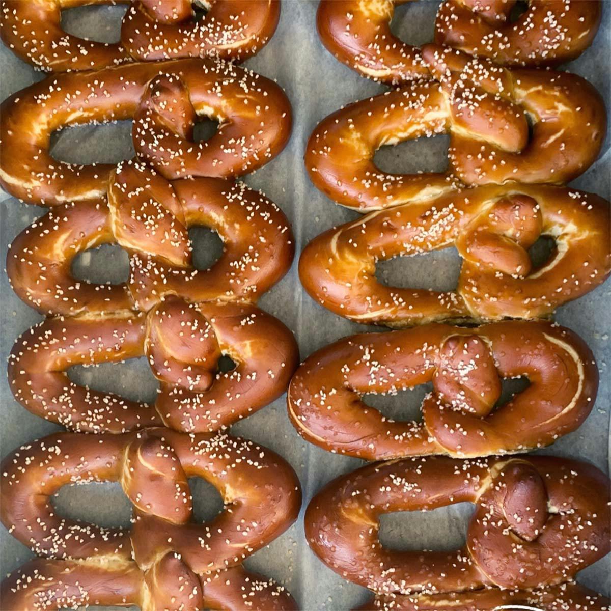 "The Classic" Philly-Style Soft Pretzels + Mustard - 24 Pack by Shappy Pretzel Co. - Alternate image 1