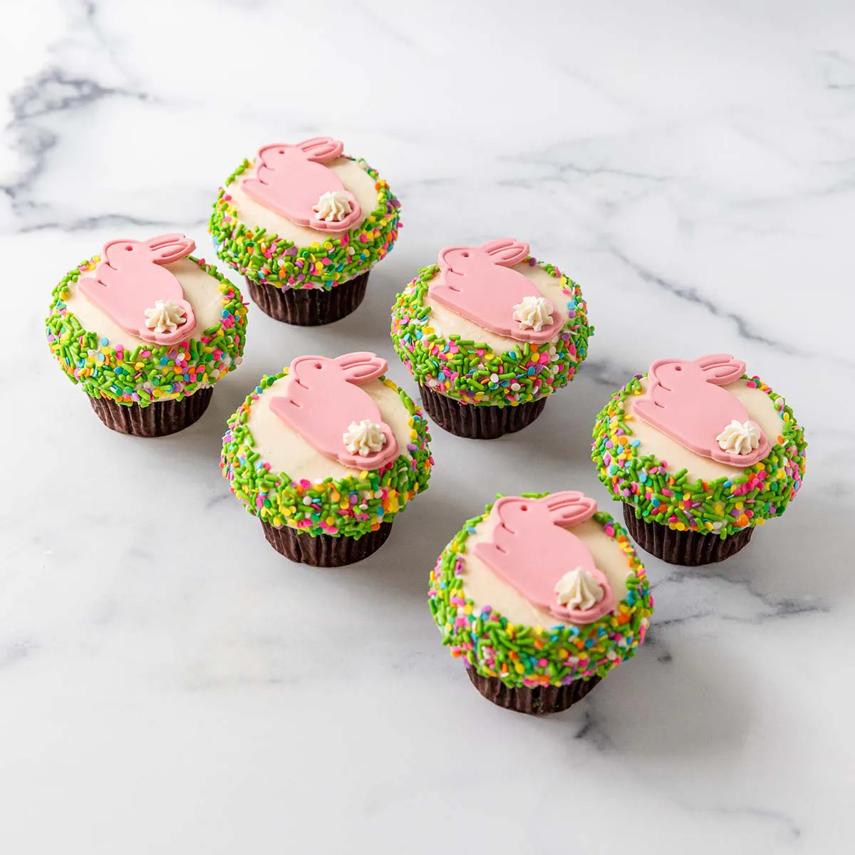 Easter Confetti Cupcake Dozen by Crave Cupcakes