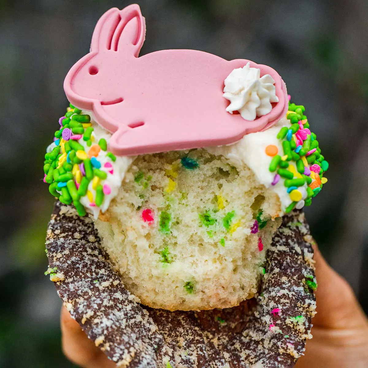 Easter Confetti Cupcake Dozen by Crave Cupcakes - Alternate image 3