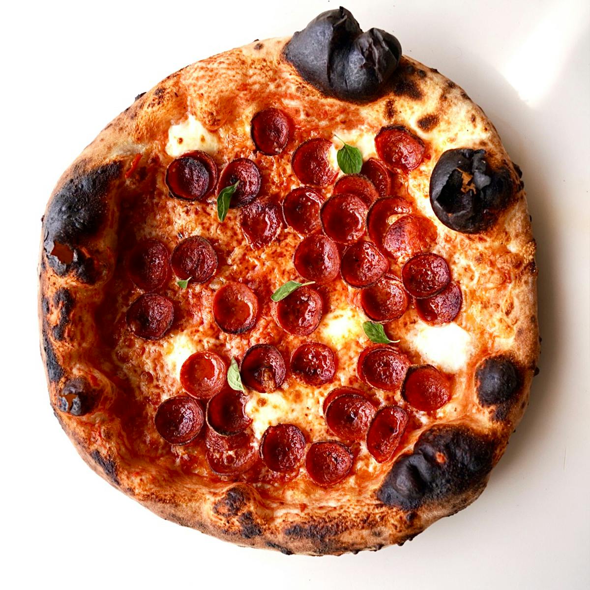 Neapolitan Pizza - Choose Your Own 3 Pack by Sag Pizza by Laurent Tourondel - Alternate image 4