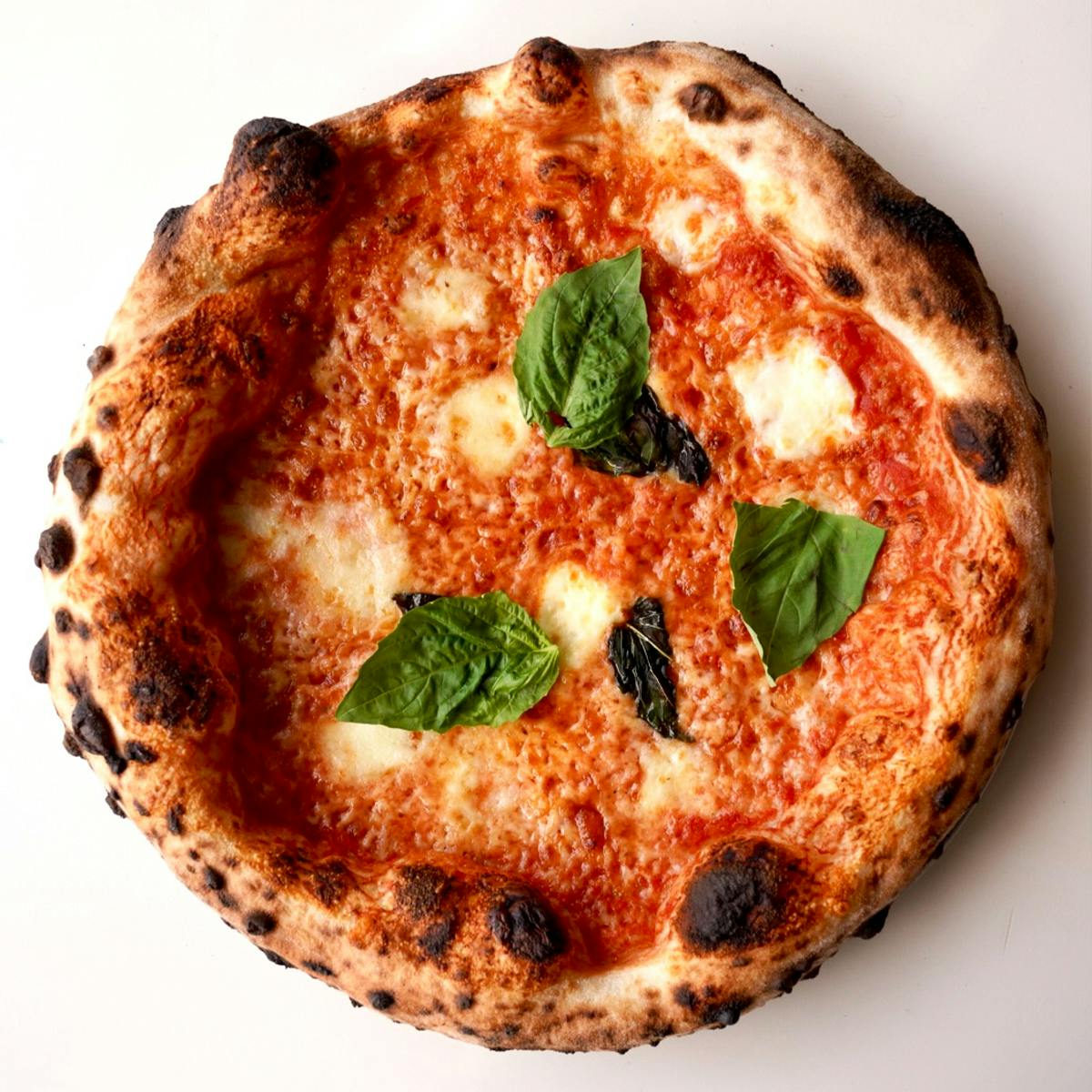 Neapolitan Pizza Best Seller - 4 Pack by Sag Pizza by Laurent Tourondel - Alternate image 3