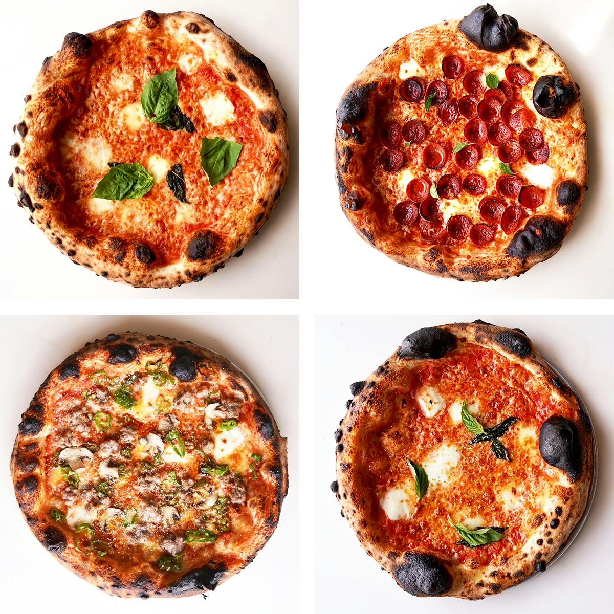 Neapolitan Pizza Best Seller - 4 Pack by Sag Pizza by Laurent Tourondel
