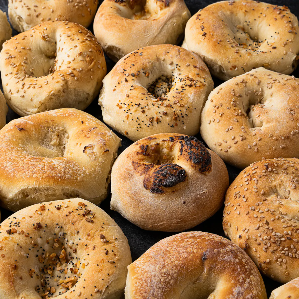 Best of Kossars Sampler + 6 FREE Bagels by Kossar's Bagels & Bialys - Alternate image 3