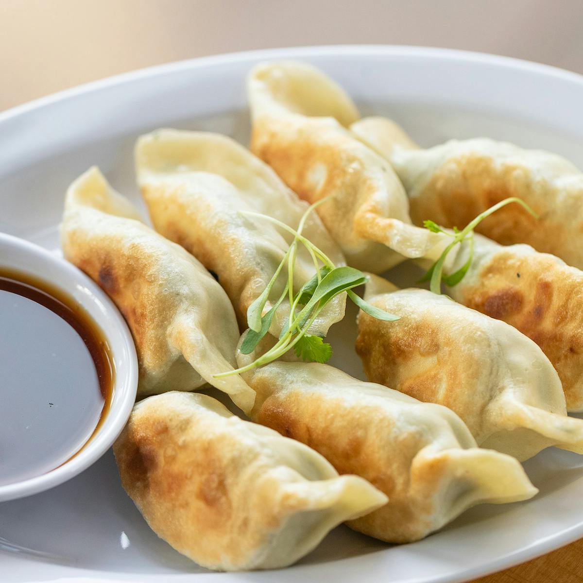 Chicken Pot Stickers by Dumpling Monster